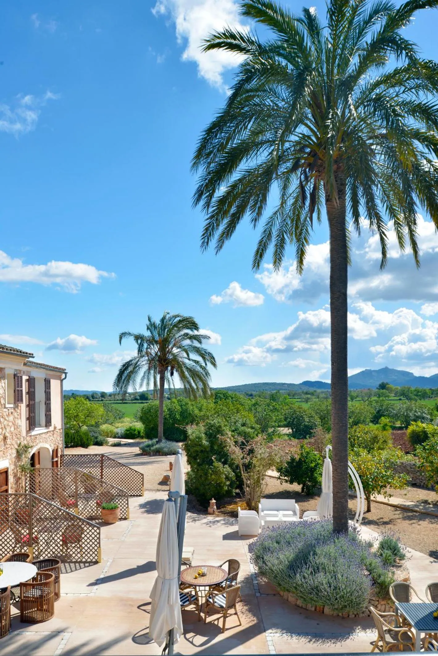 Garden view in Agroturismo Fincahotel Son Pou