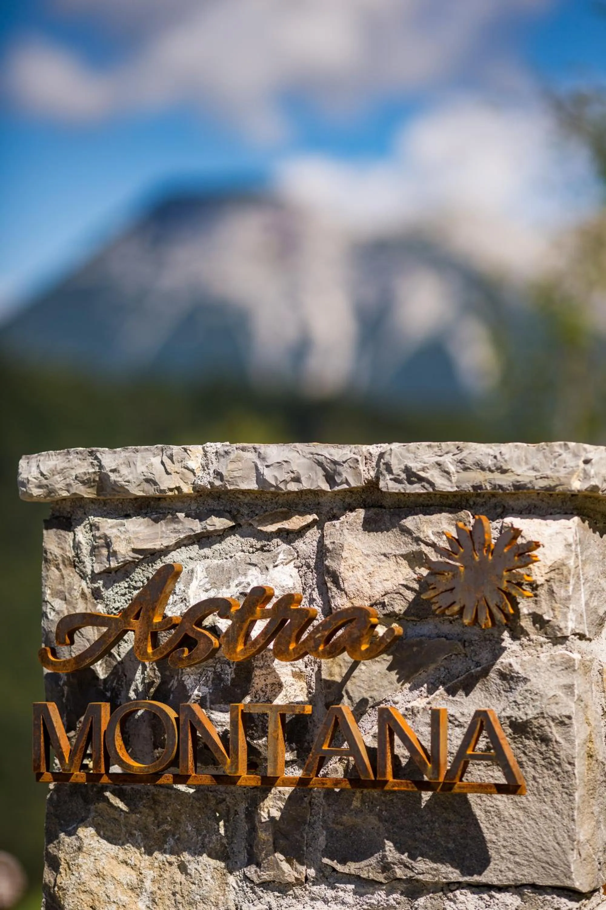 Property logo or sign in Eco Chalet Astra Montana