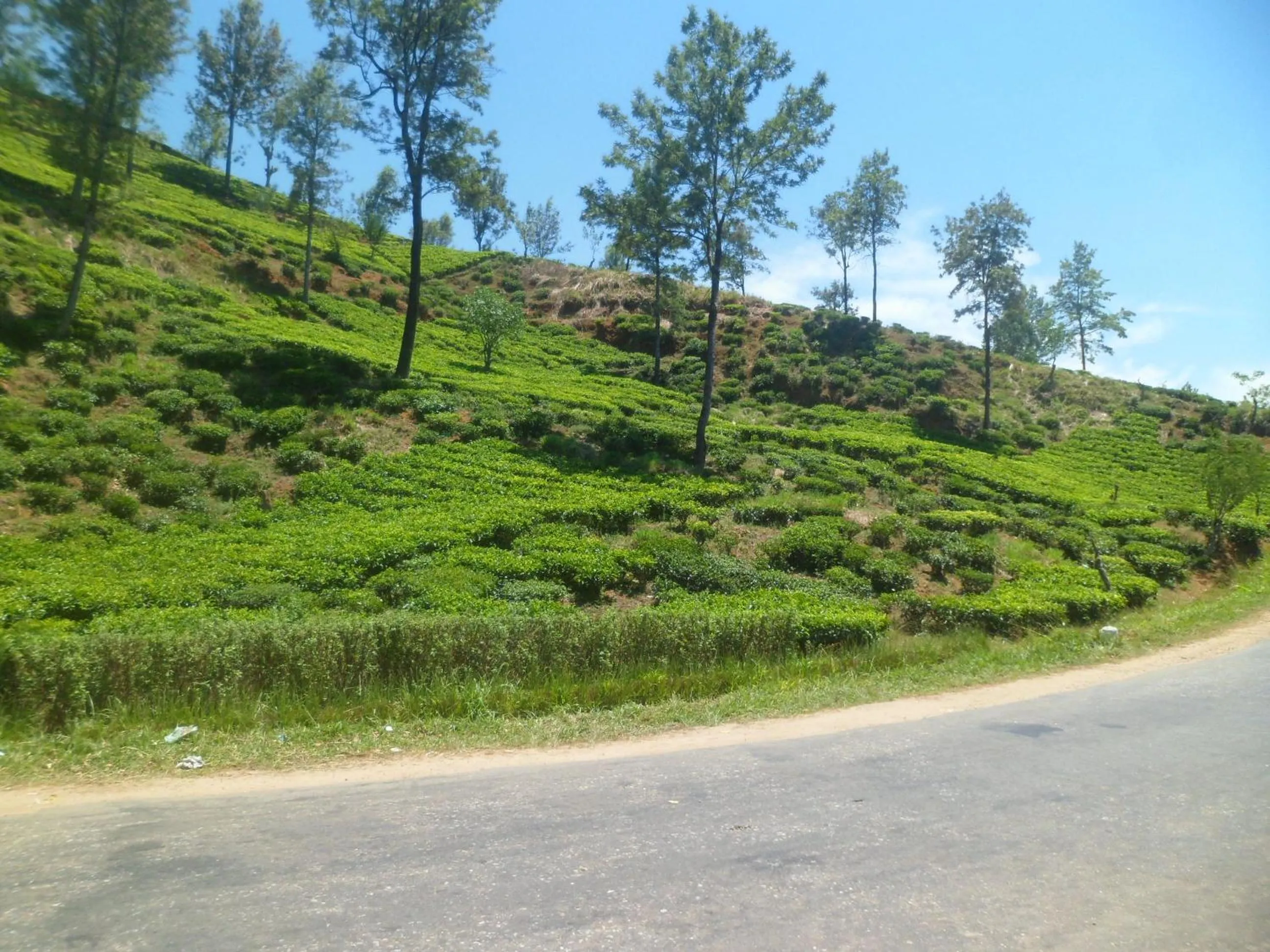 Day in Ayos Hill Adam's Peak Free Shuttle