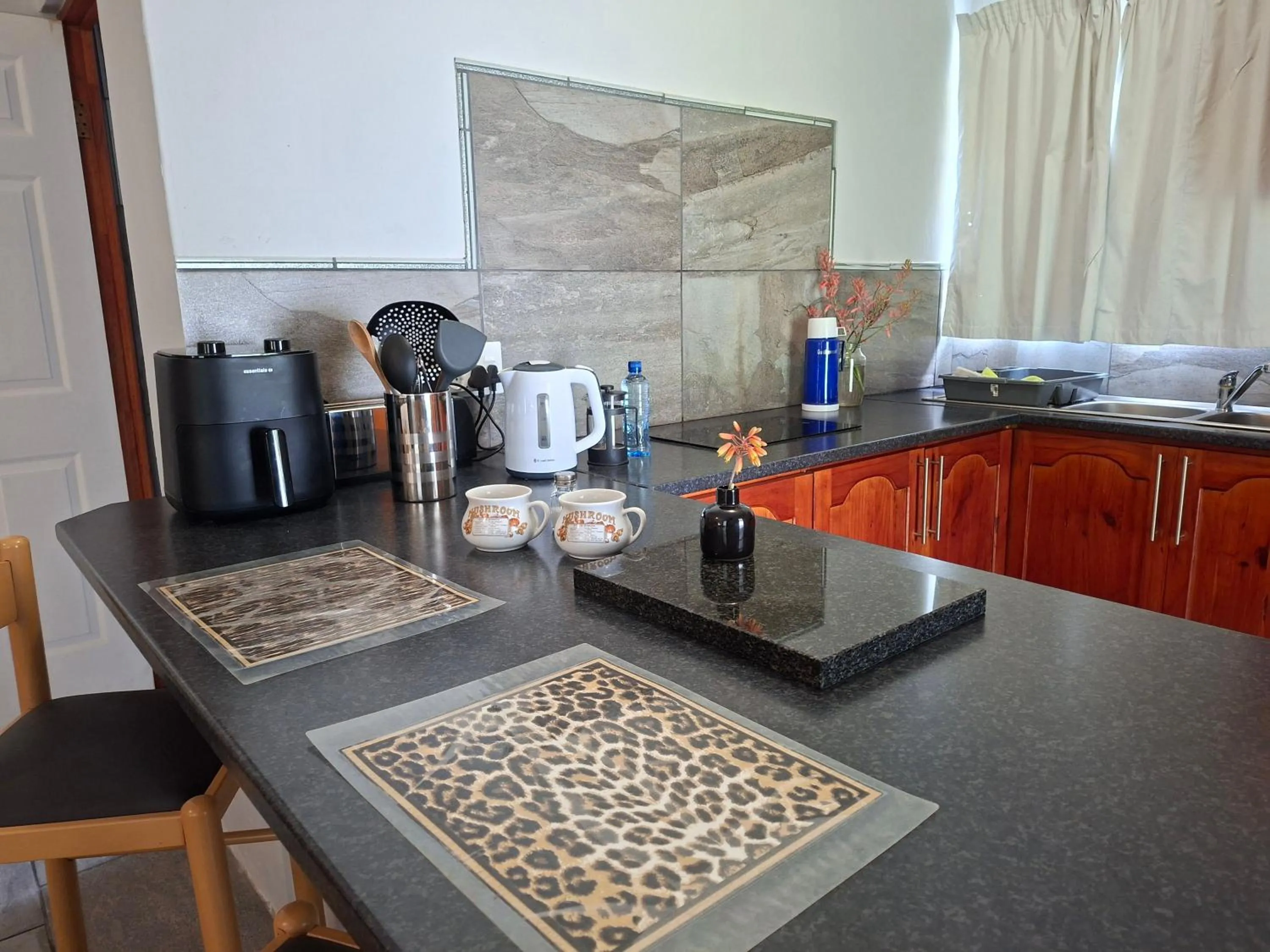 Kitchen or kitchenette in Altenburgh Accommodation - Apartments