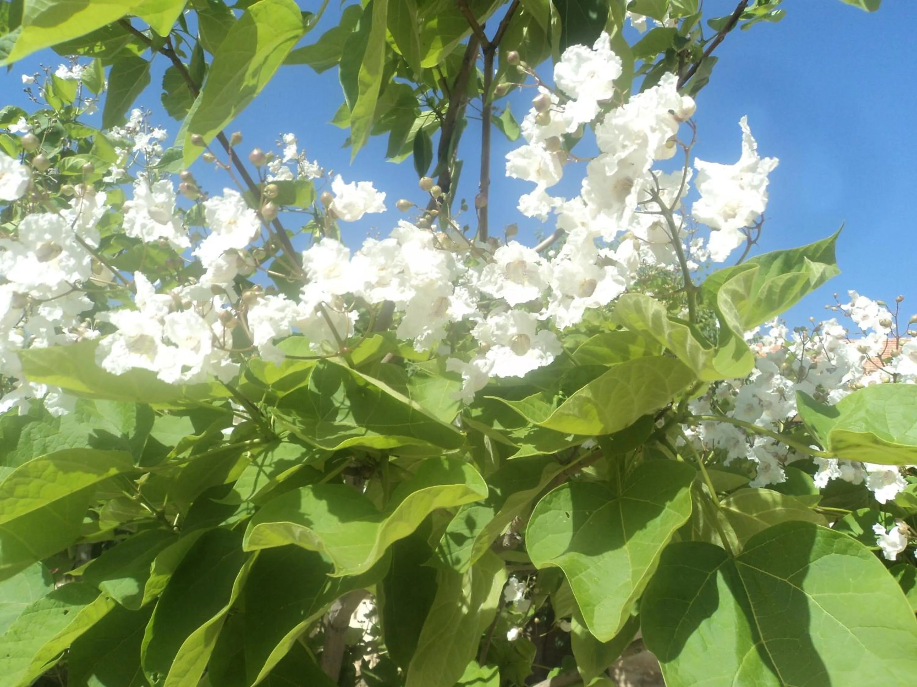 Hotel School Ersat Azrou