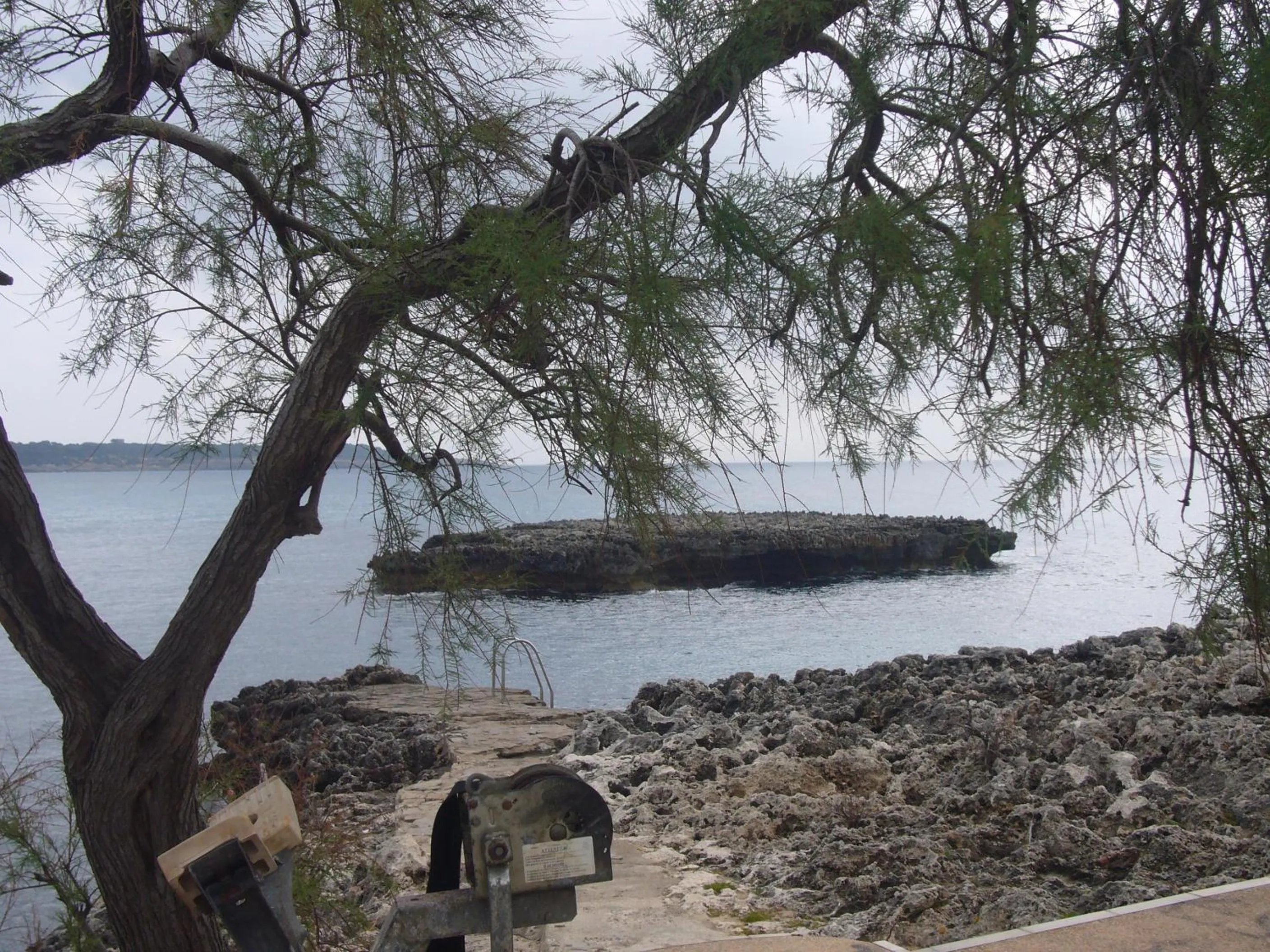 Snorkeling in Fonoll Mari