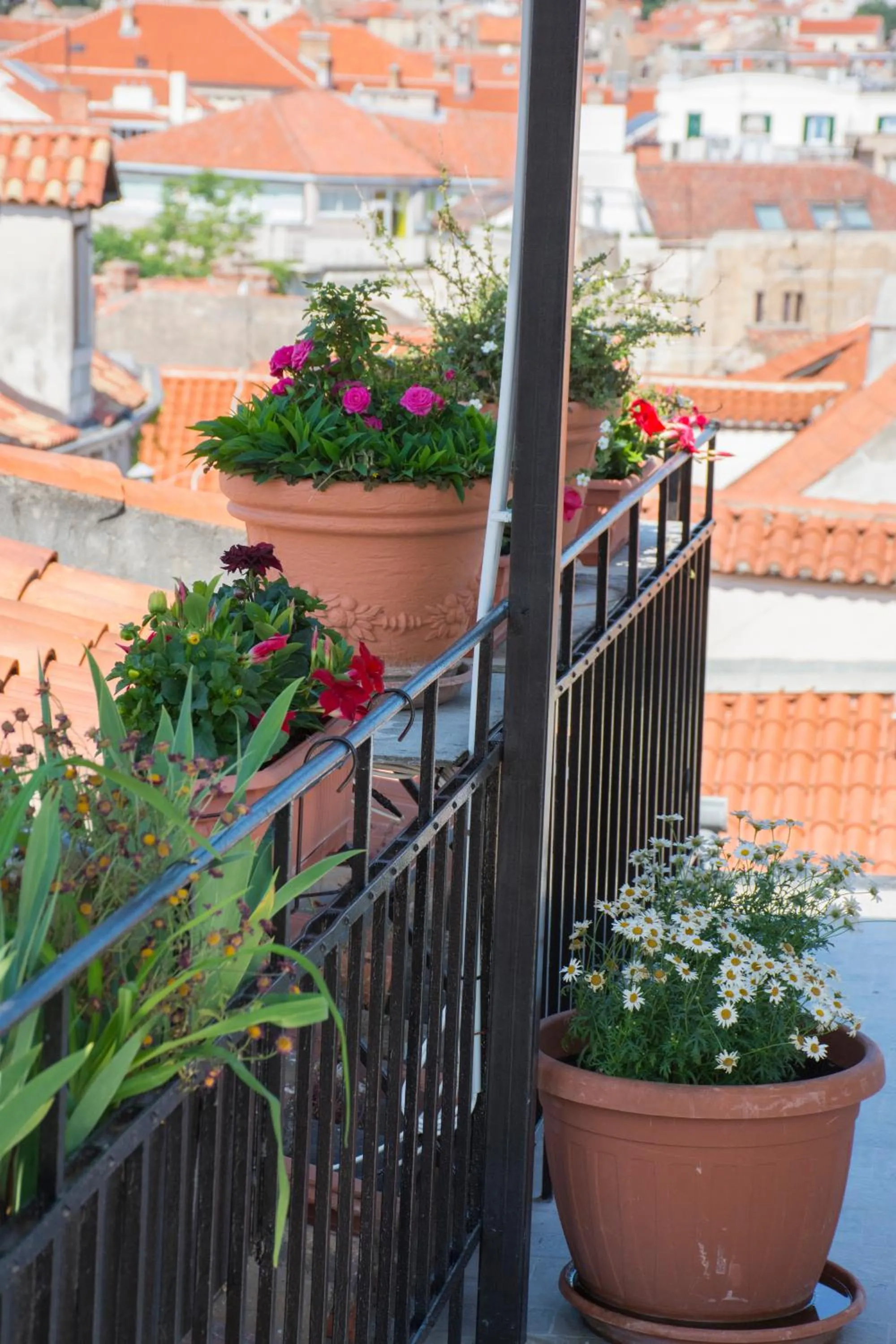Balcony/Terrace in Apartment Baćo