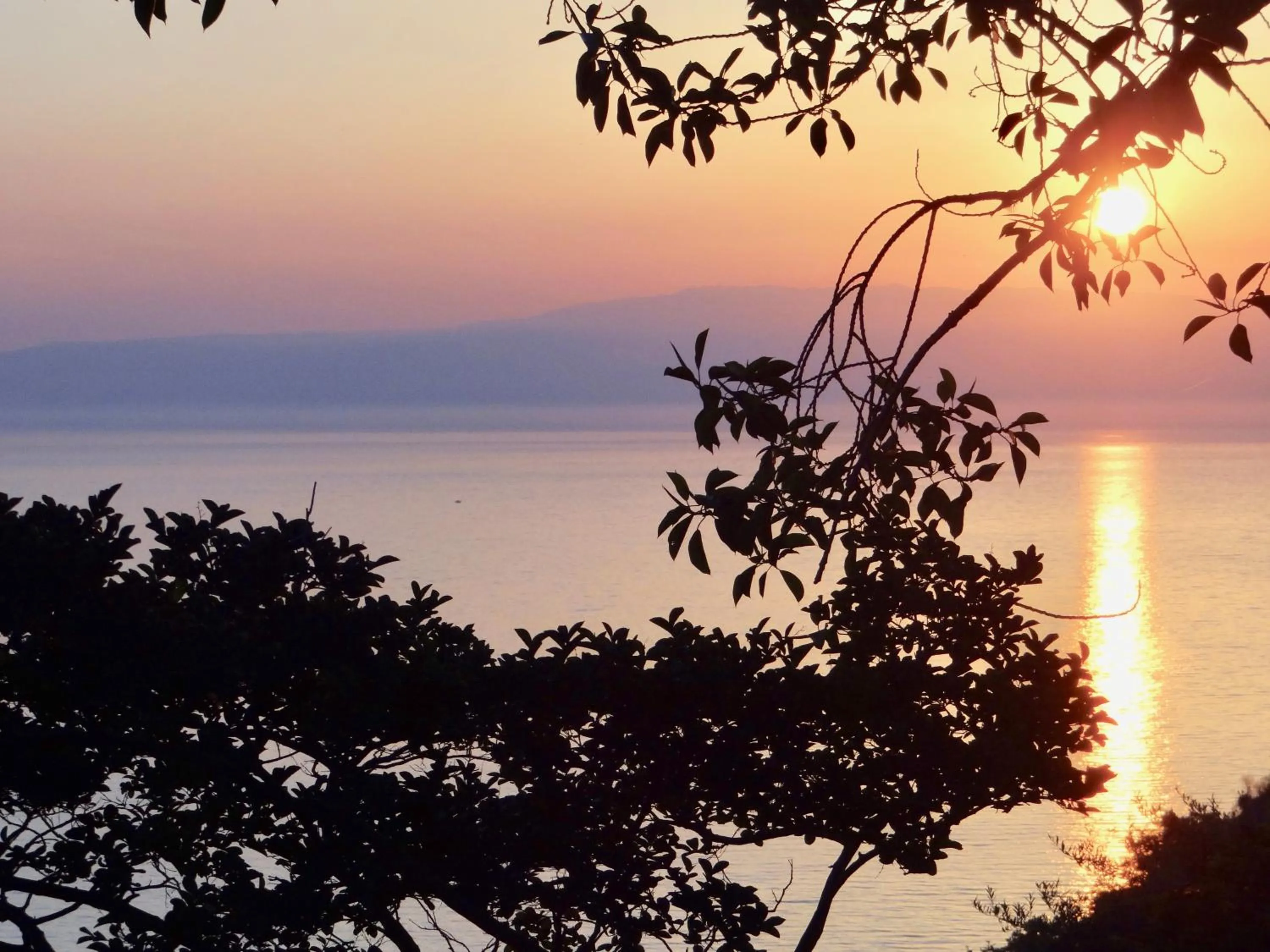 Sunrise in La cage aux folles B&B