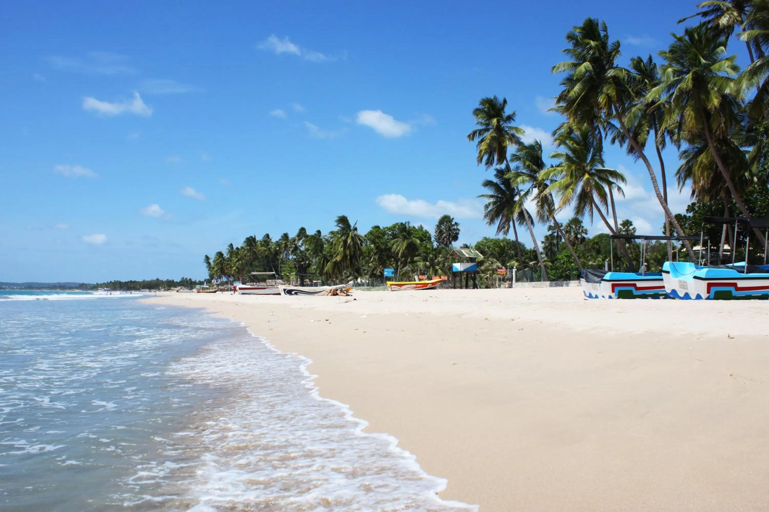 Beach in Alass Ga For Pets Lovers