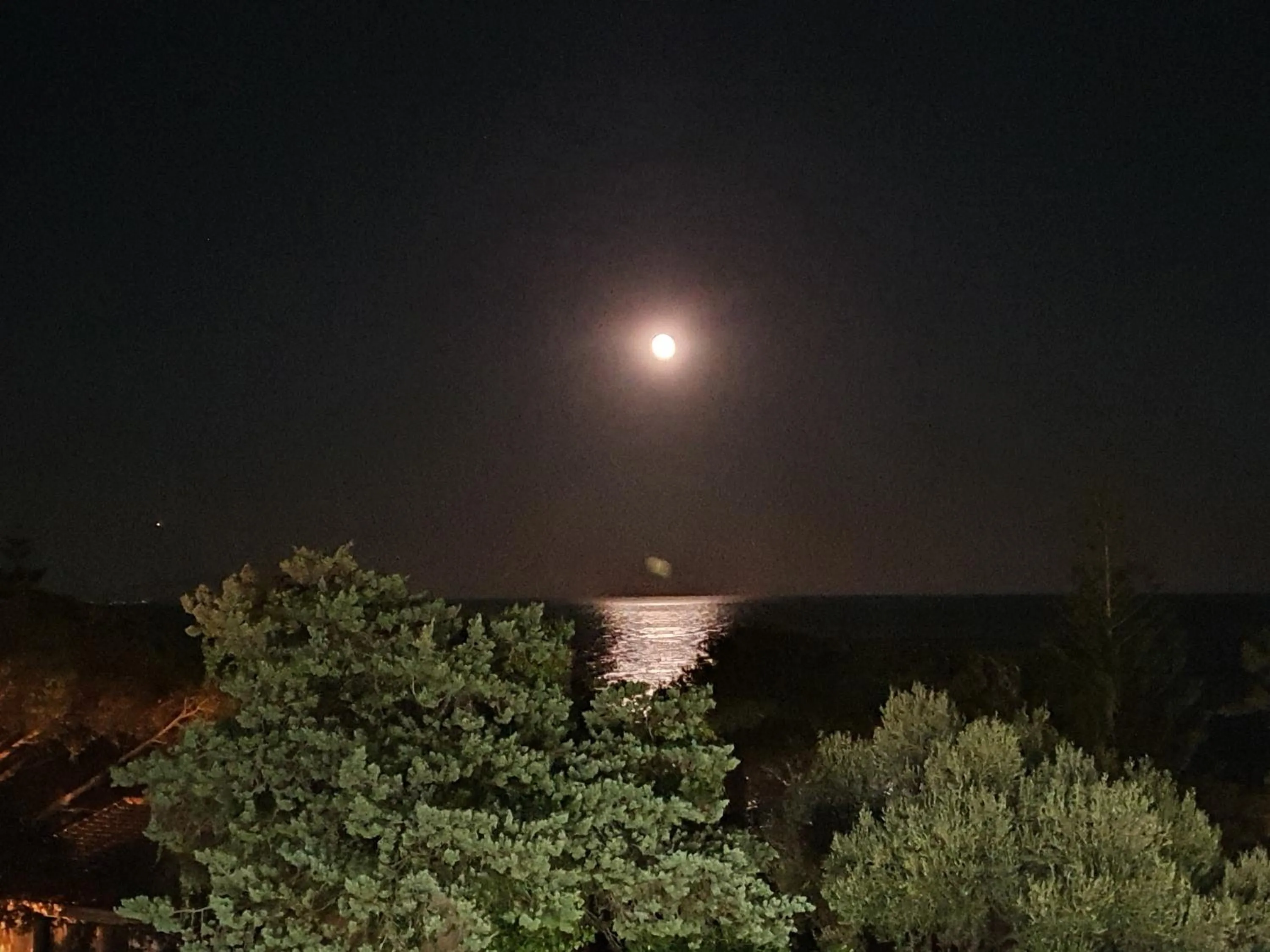 Night in Hotel Cyrnea