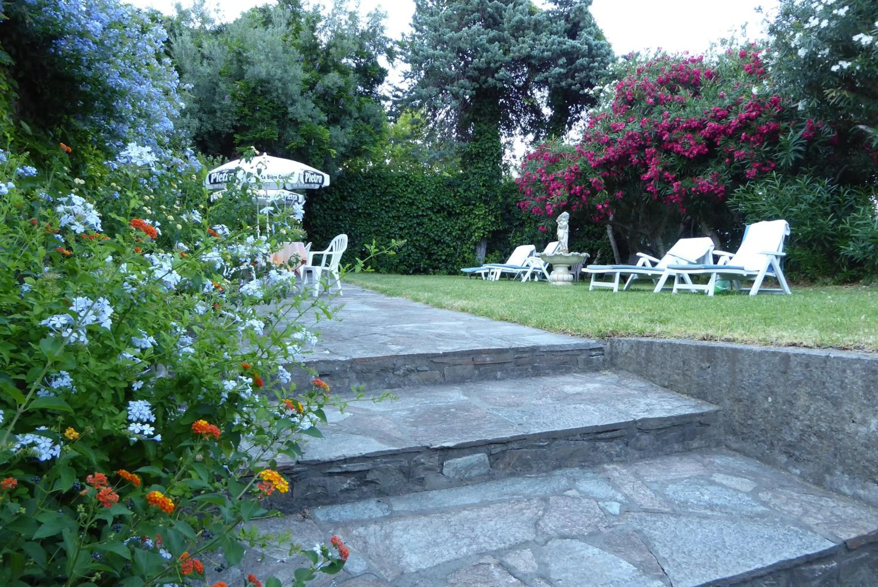 Garden in Hotel Cyrnea