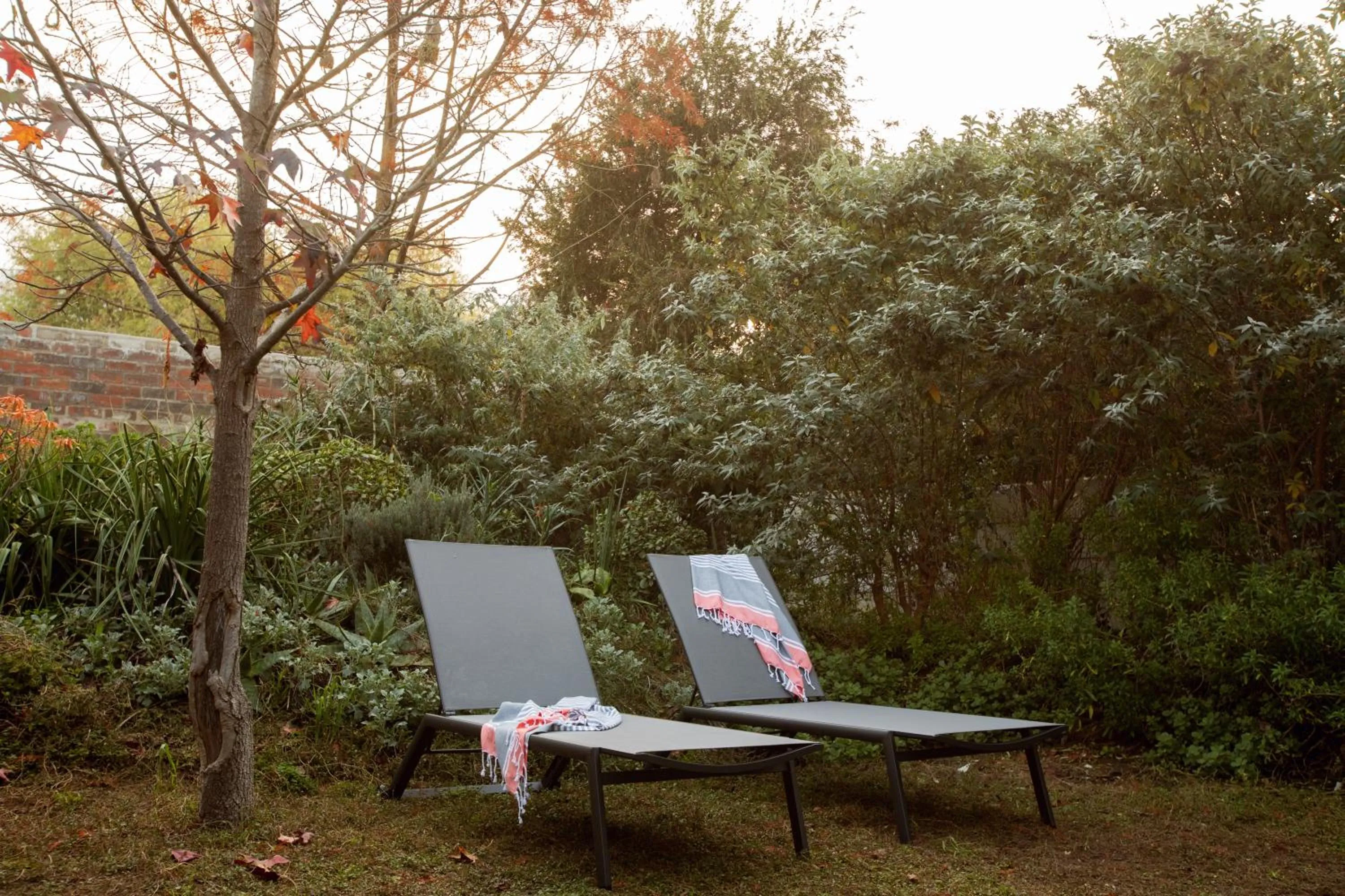 Garden in Blaauw Cottage