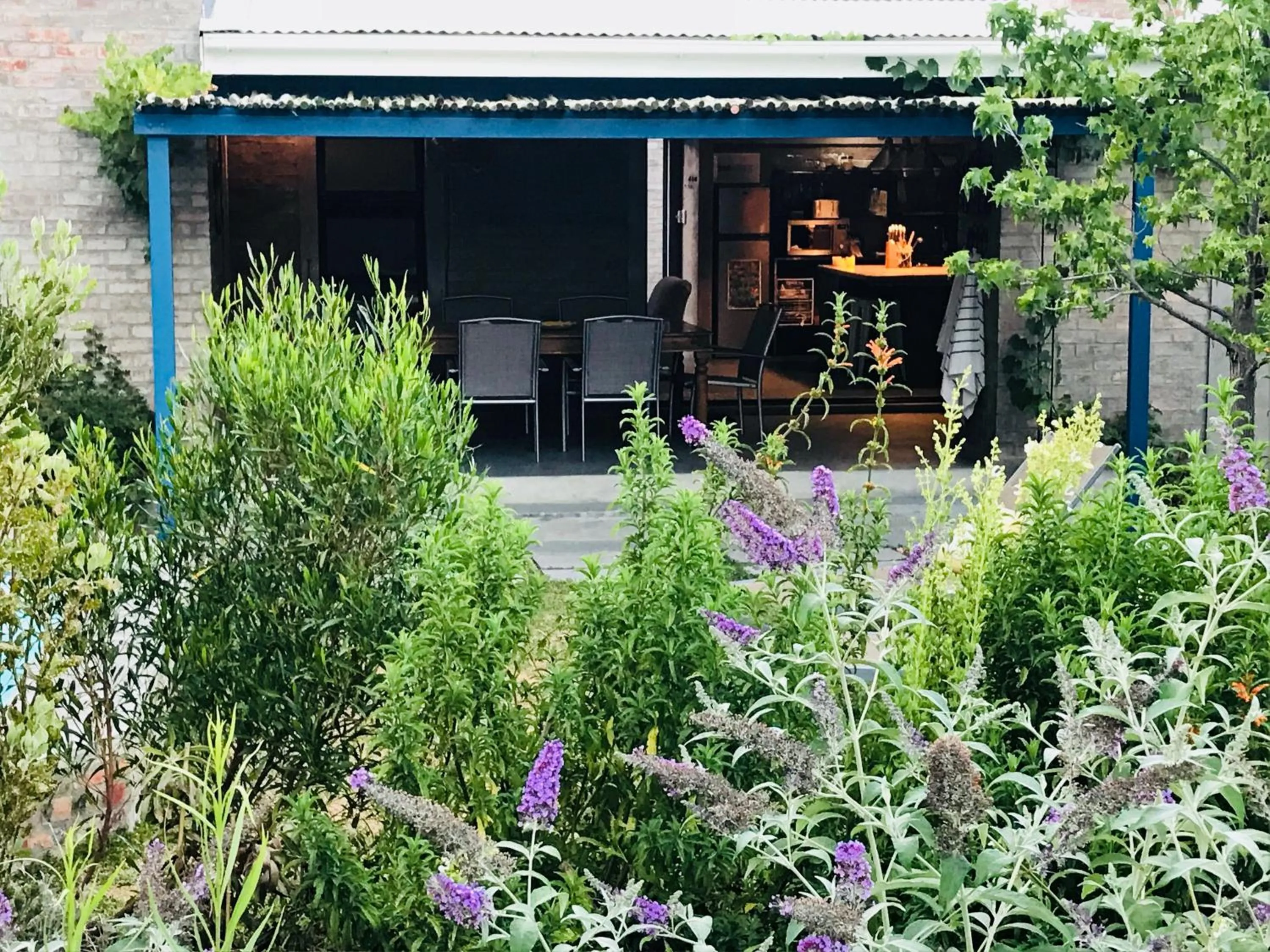 Garden in Blaauw Cottage
