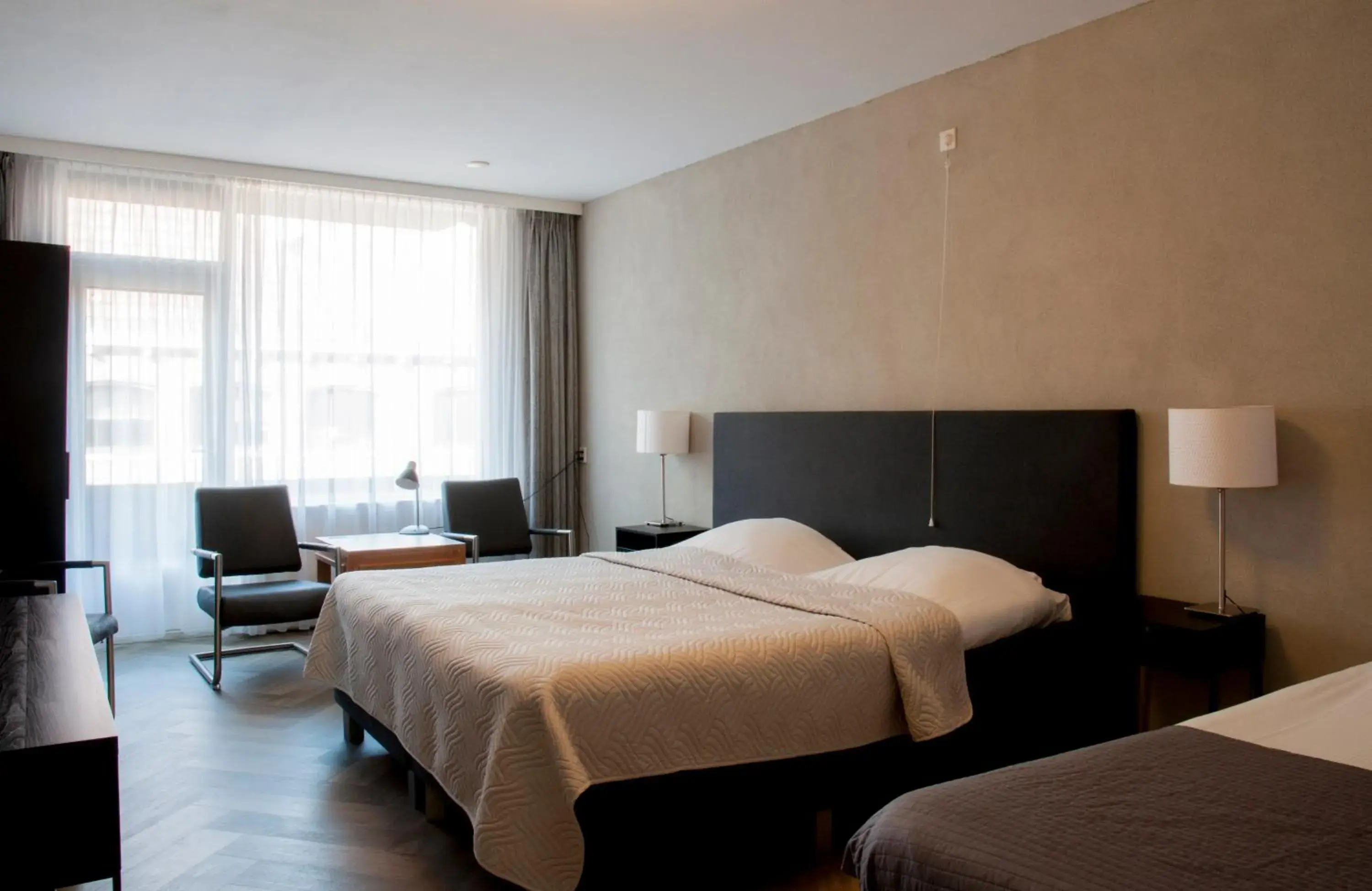 Double Room in Hotel Mayflower Double Room in Hotel Mayflower