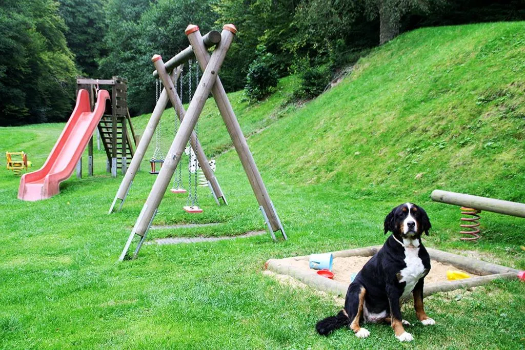 Game Room in Baunhöller-Mühle
