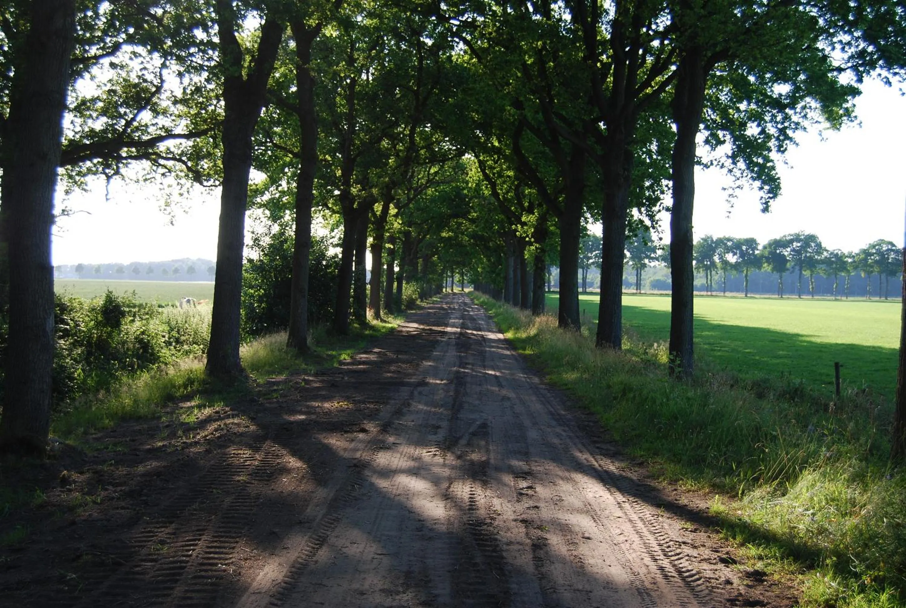 Natural landscape in Bitter en Zoet