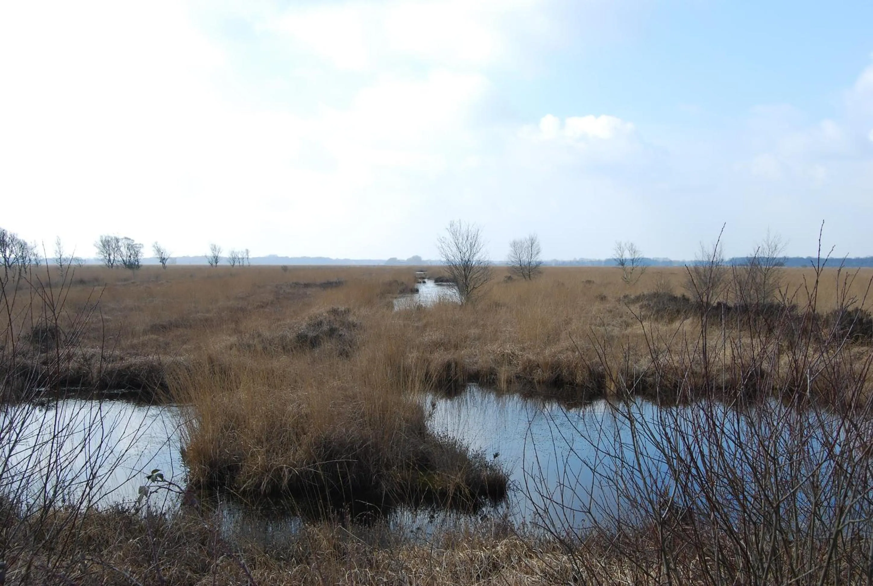 Area and facilities in Bitter en Zoet