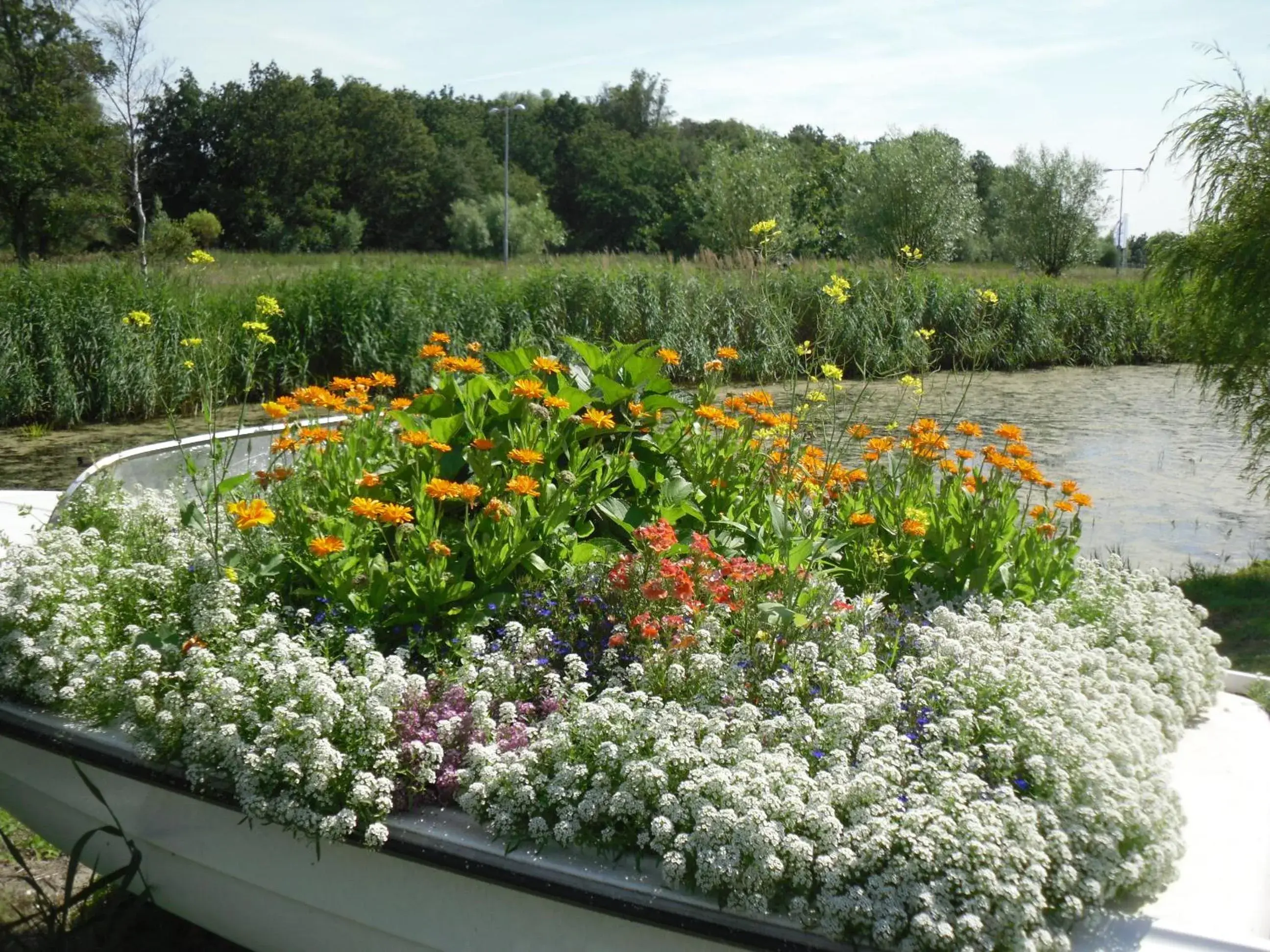 View (from property/room) in Hotel Den Helder View (from property/room) in Hotel Den Helder