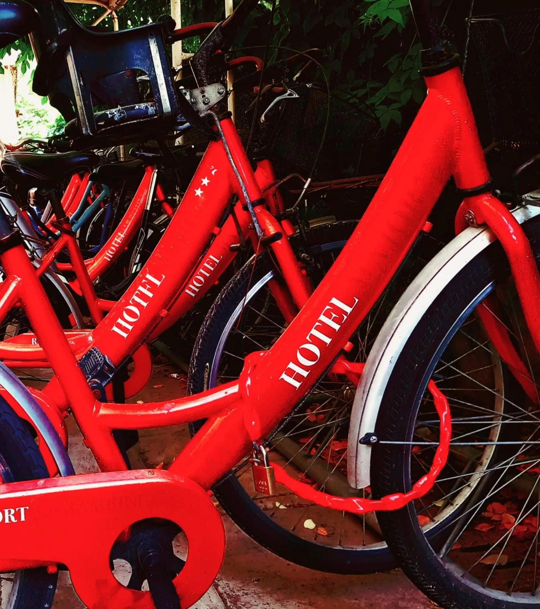 Cycling in Hotel Ariella