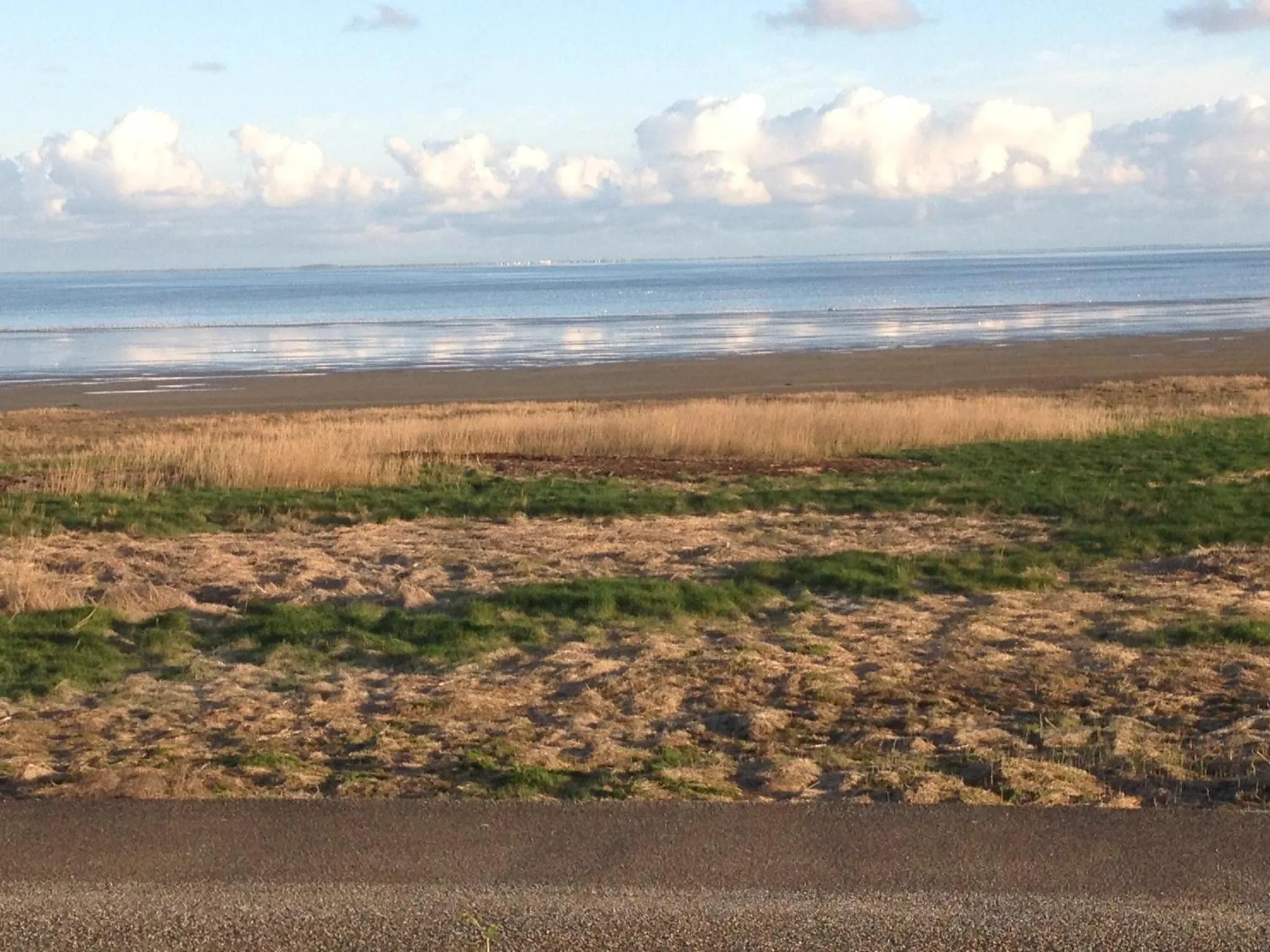 Natural landscape in Het Huis van de Wadden