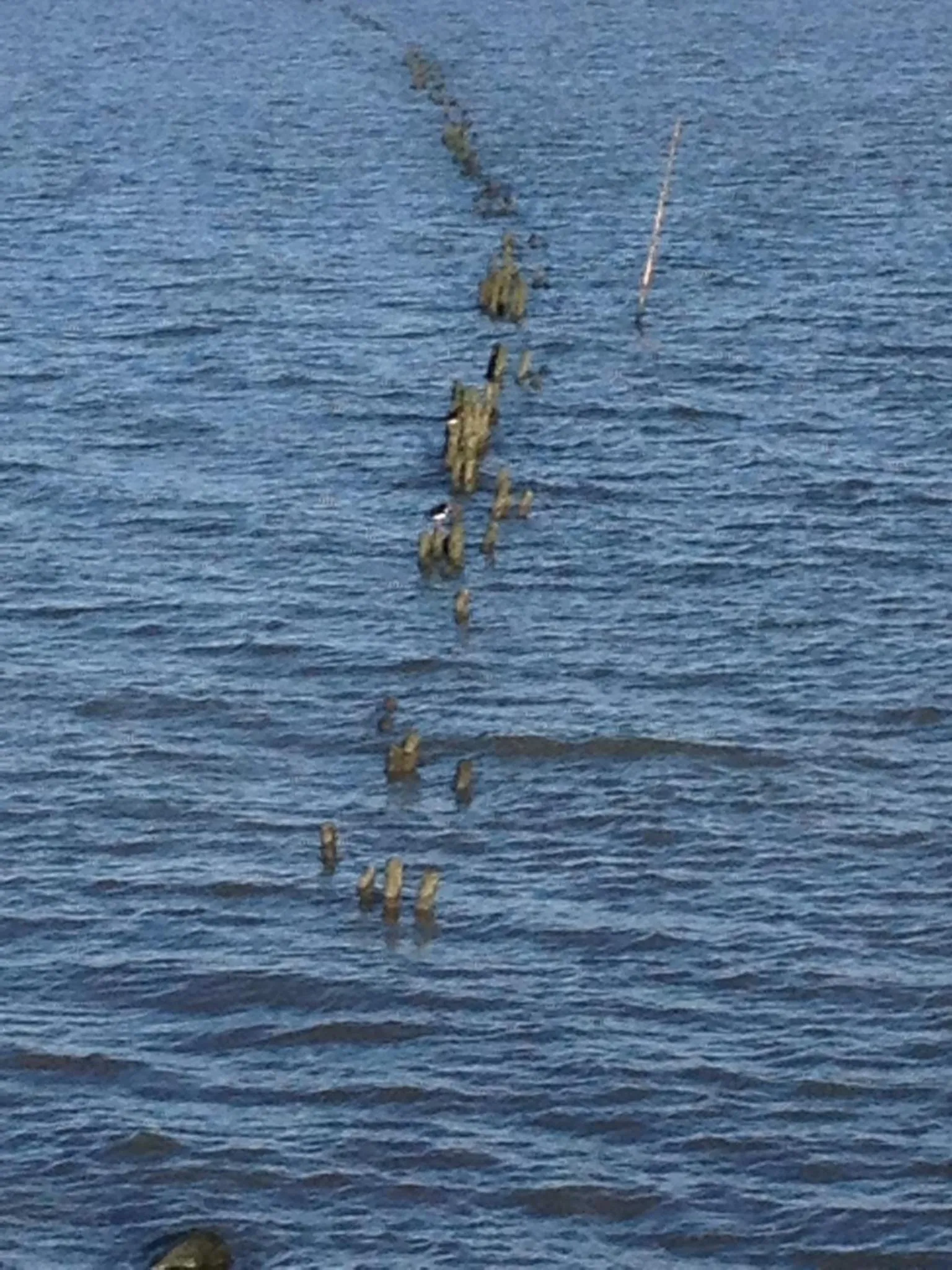 Neighbourhood in Het Huis van de Wadden