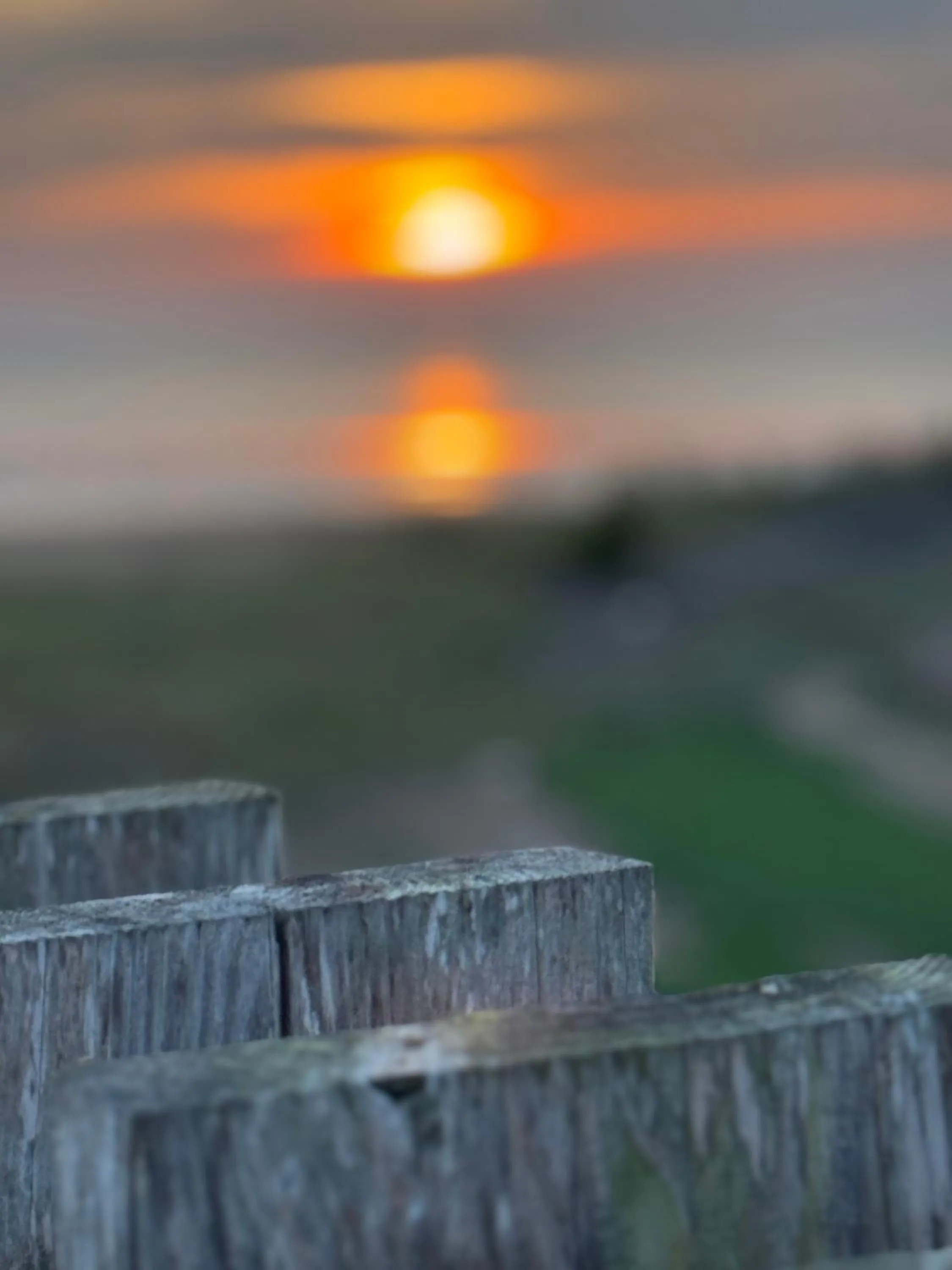 Area and facilities in Het Huis van de Wadden
