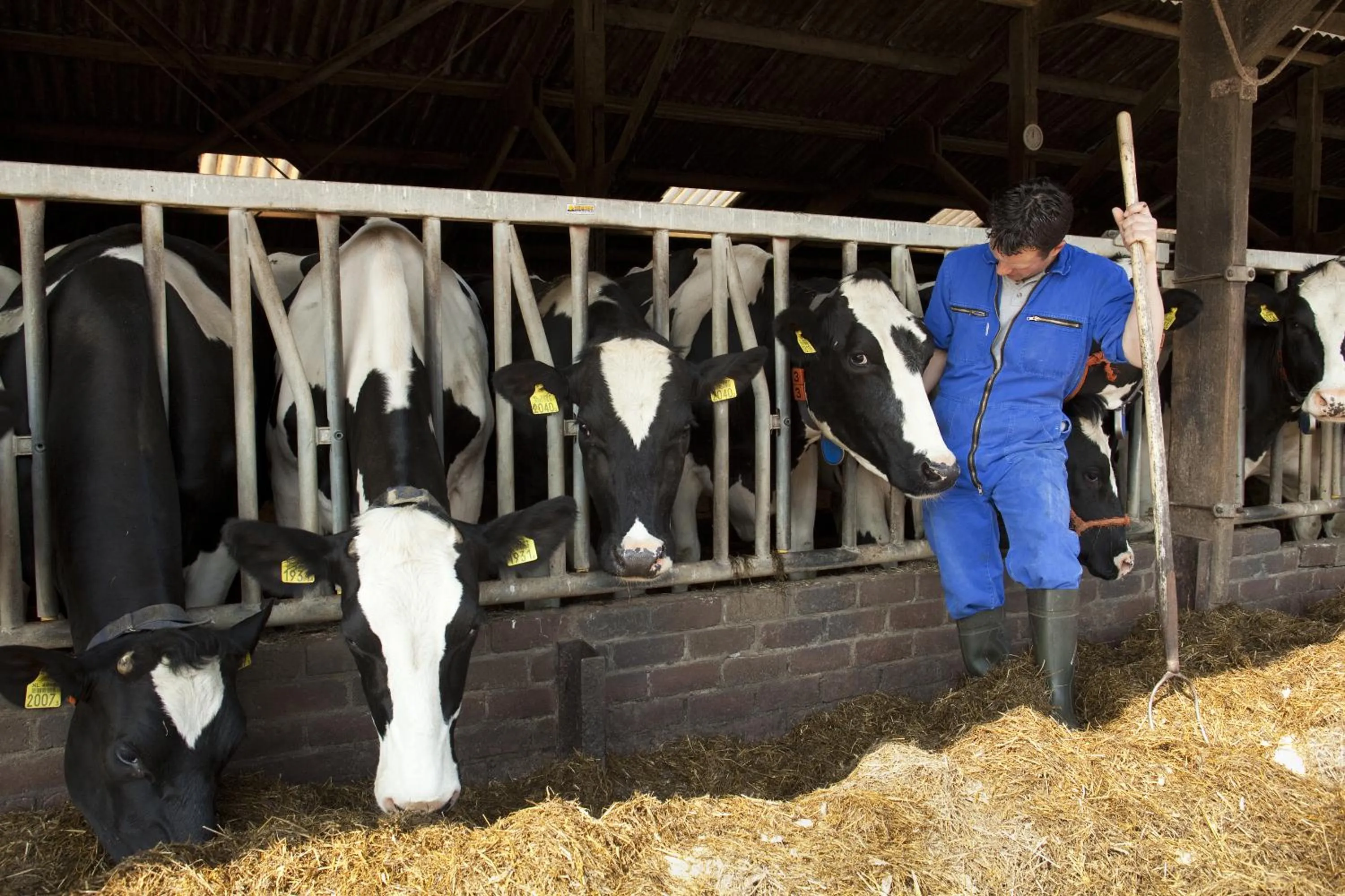 Staff in Hotelhuisjes Andijk
