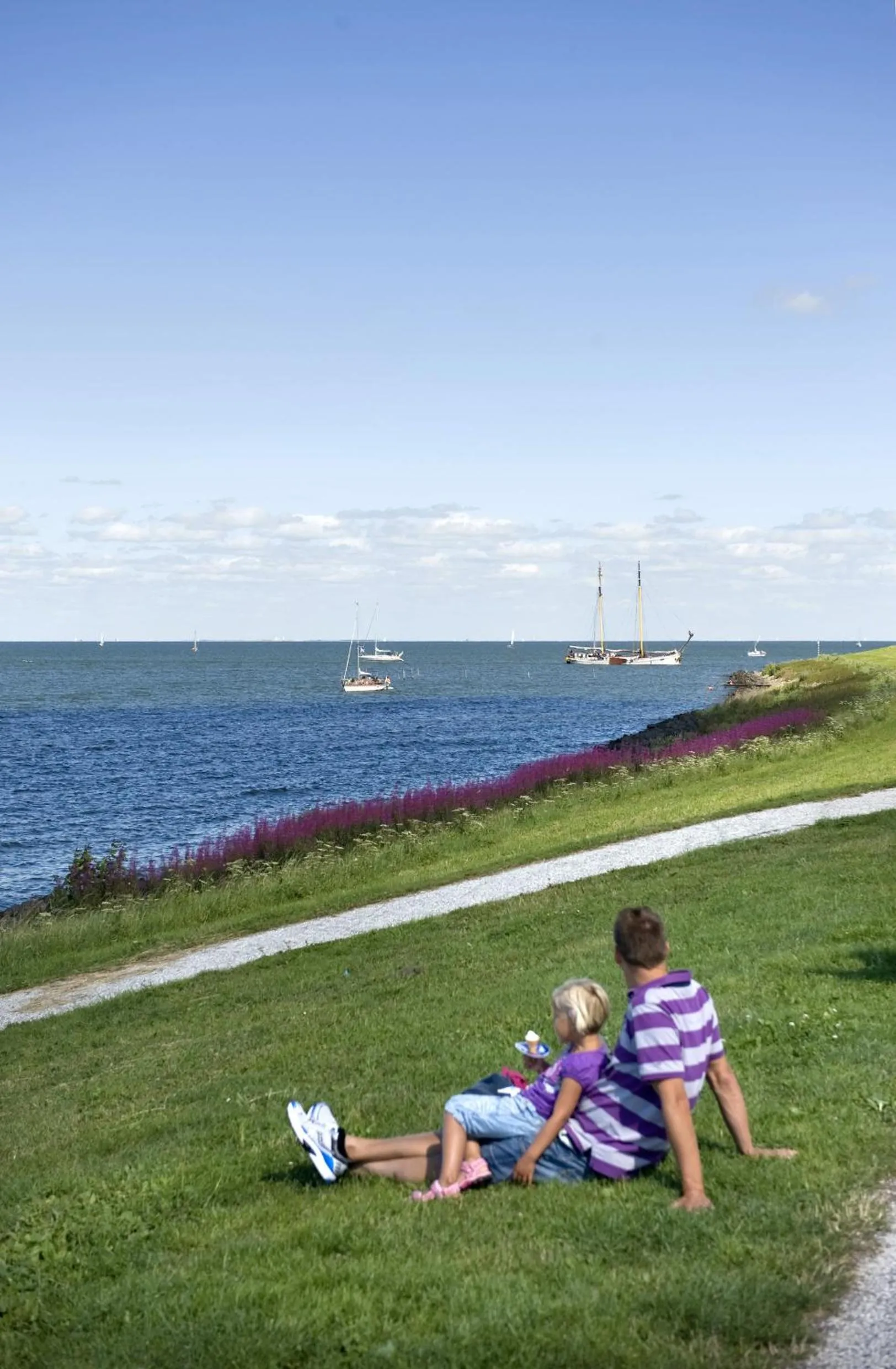 Natural landscape in Hotelhuisjes Andijk