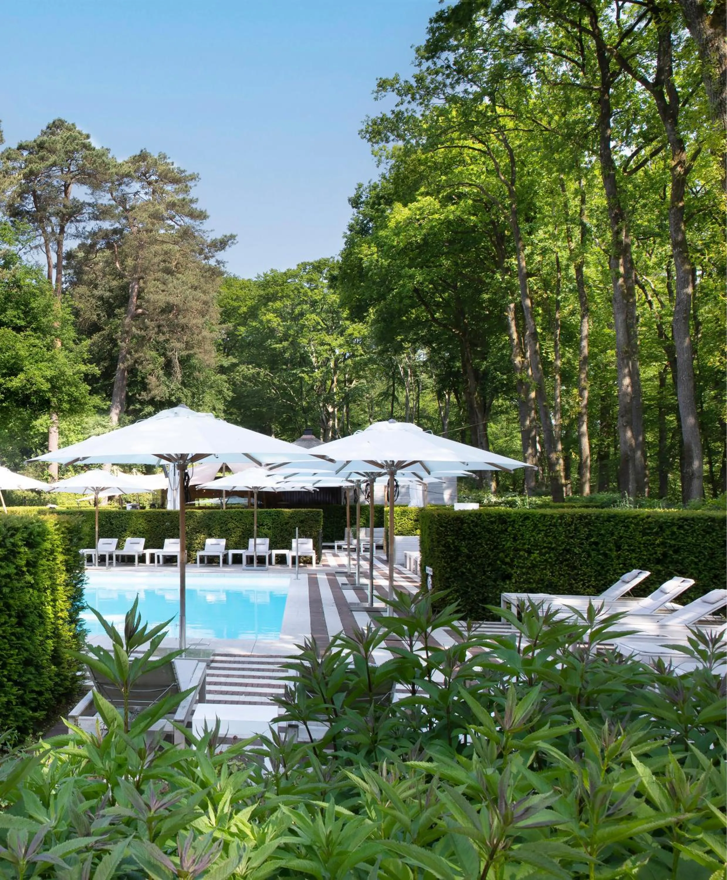 Garden in Relais & Chateaux Hotel Landgoed Het Roode Koper