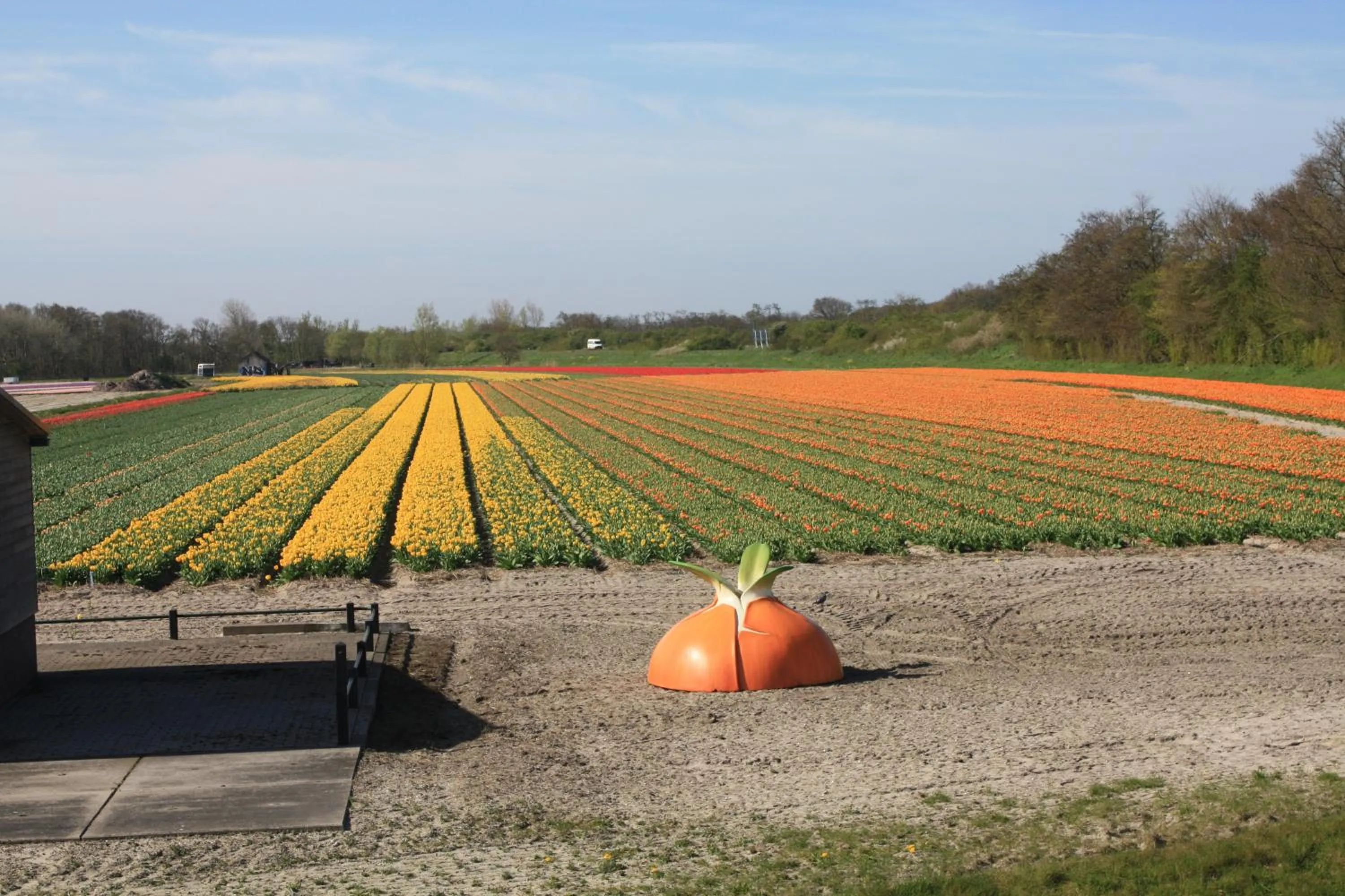 Nearby landmark in Hotel Saint Vincent