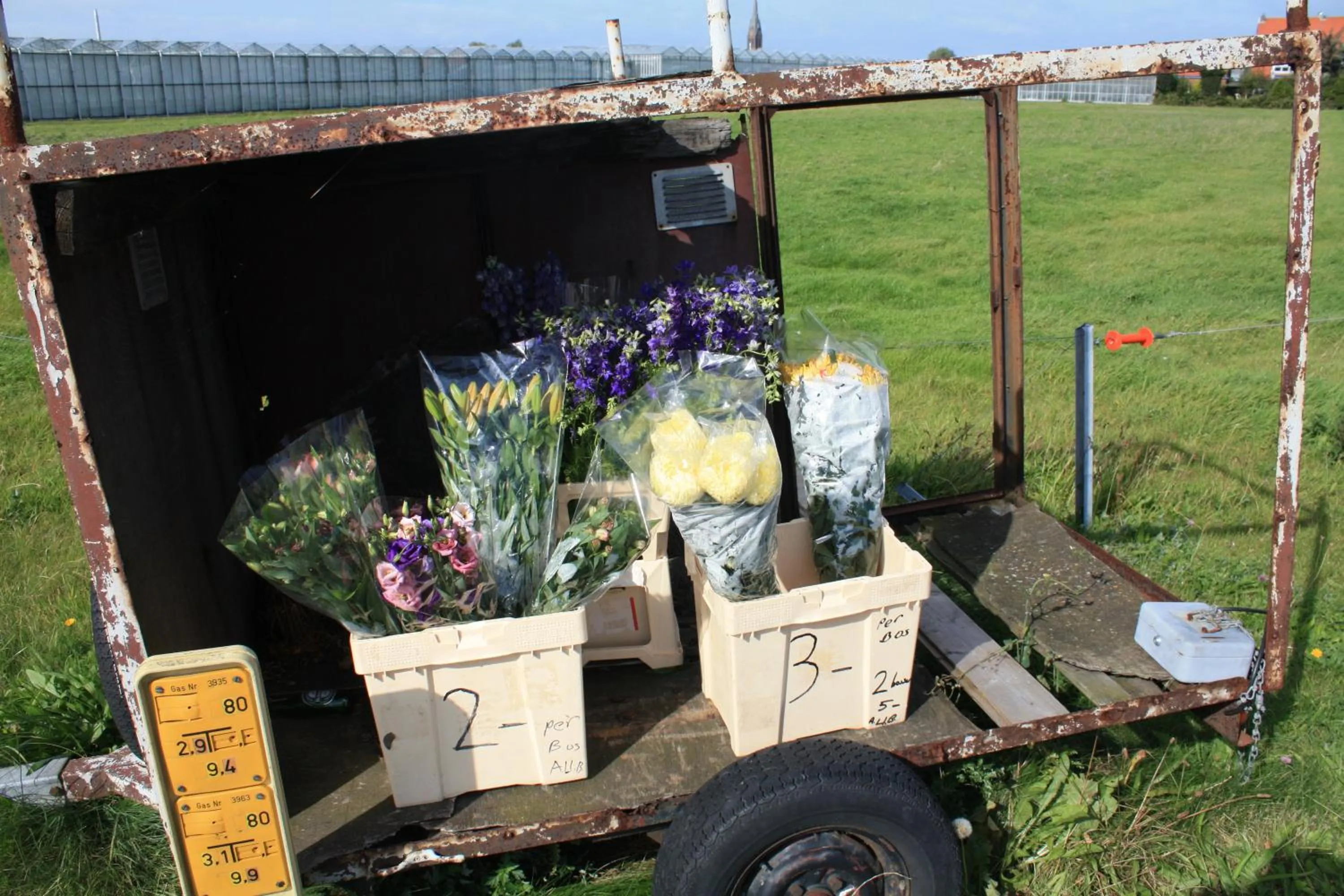 Natural landscape in Hotel Saint Vincent