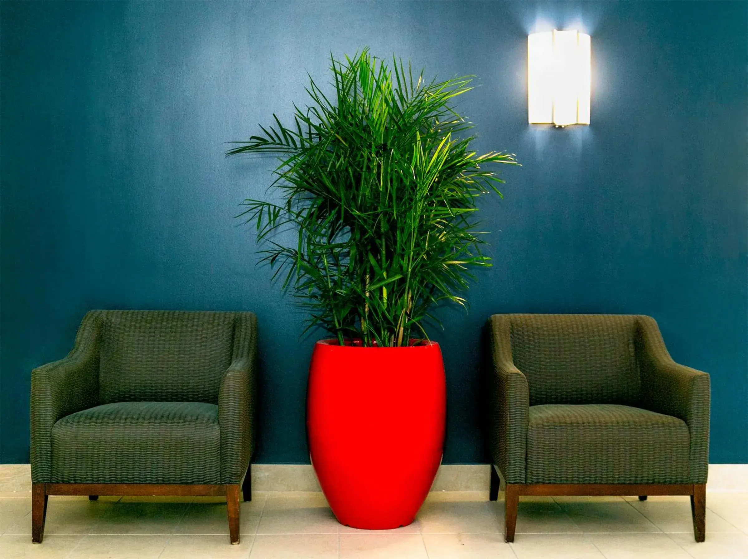 Lobby or reception in Commodore Suites Lobby or reception in Commodore Suites