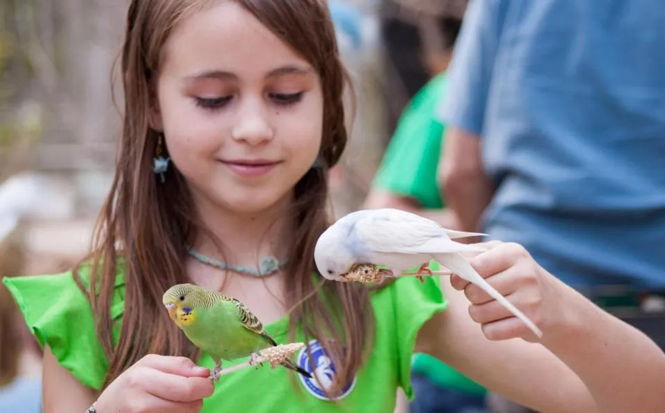 Nearby landmark in Scotland Neck Inn