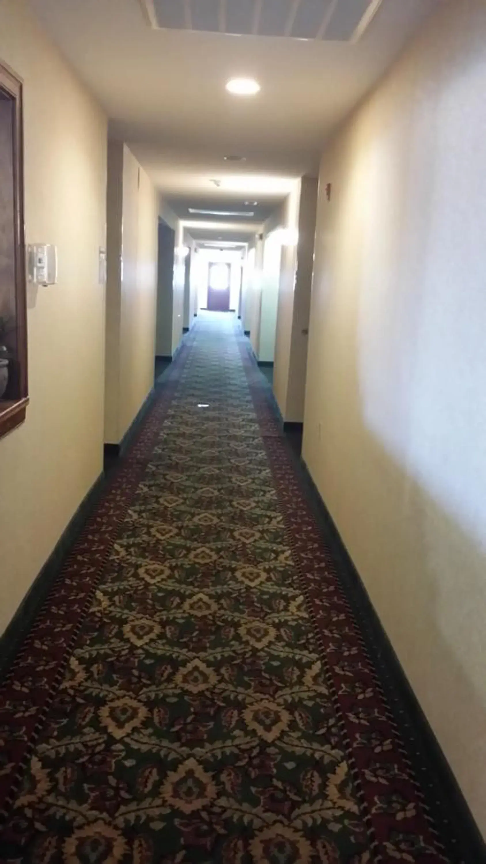 Lobby or reception in Scotland Neck Inn Lobby or reception in Scotland Neck Inn