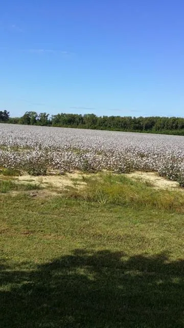 Property building in Scotland Neck Inn