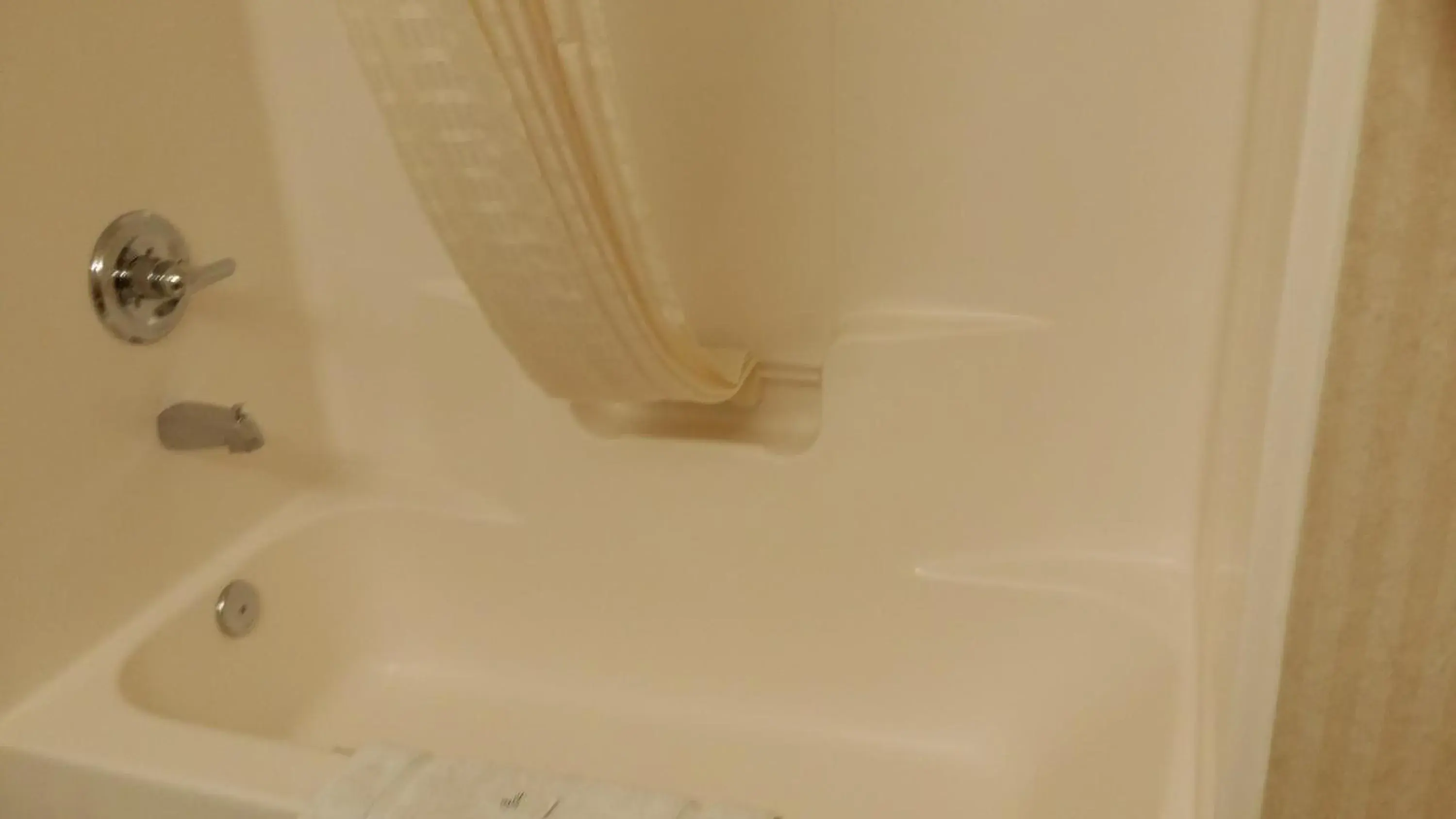 Bed in Scotland Neck Inn Bed in Scotland Neck Inn