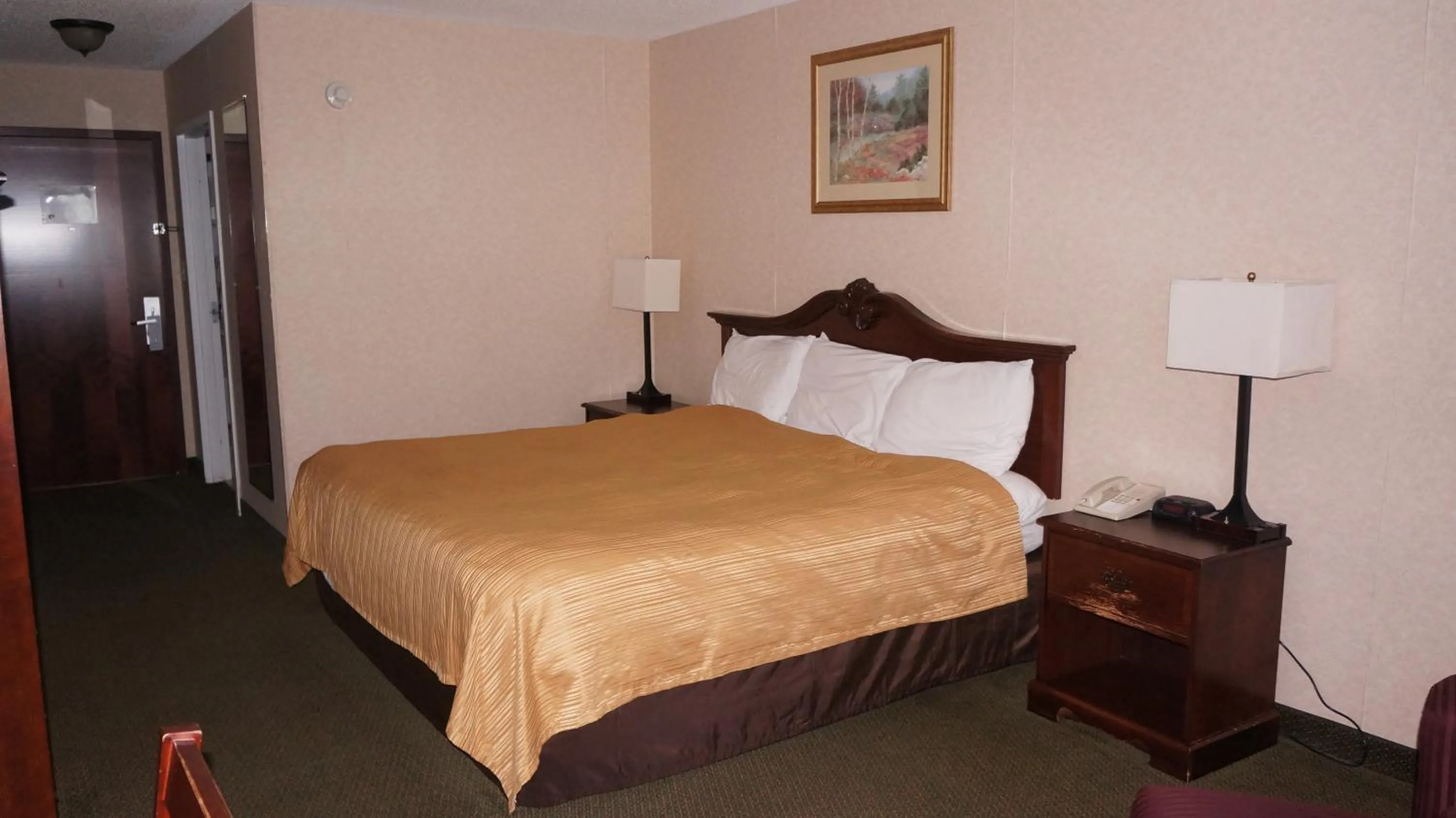 Bed in Scotland Neck Inn