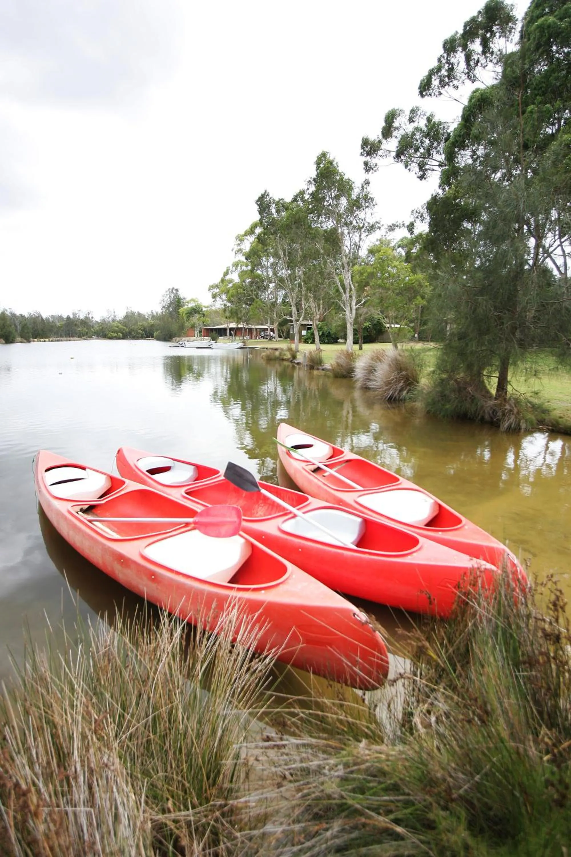 Canoeing in Tuncurry Lakes Resort