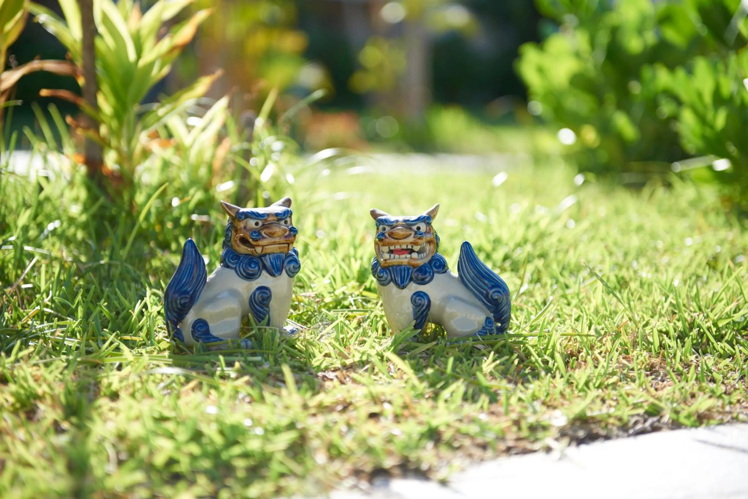 On site in The Ubufuru Ishigaki