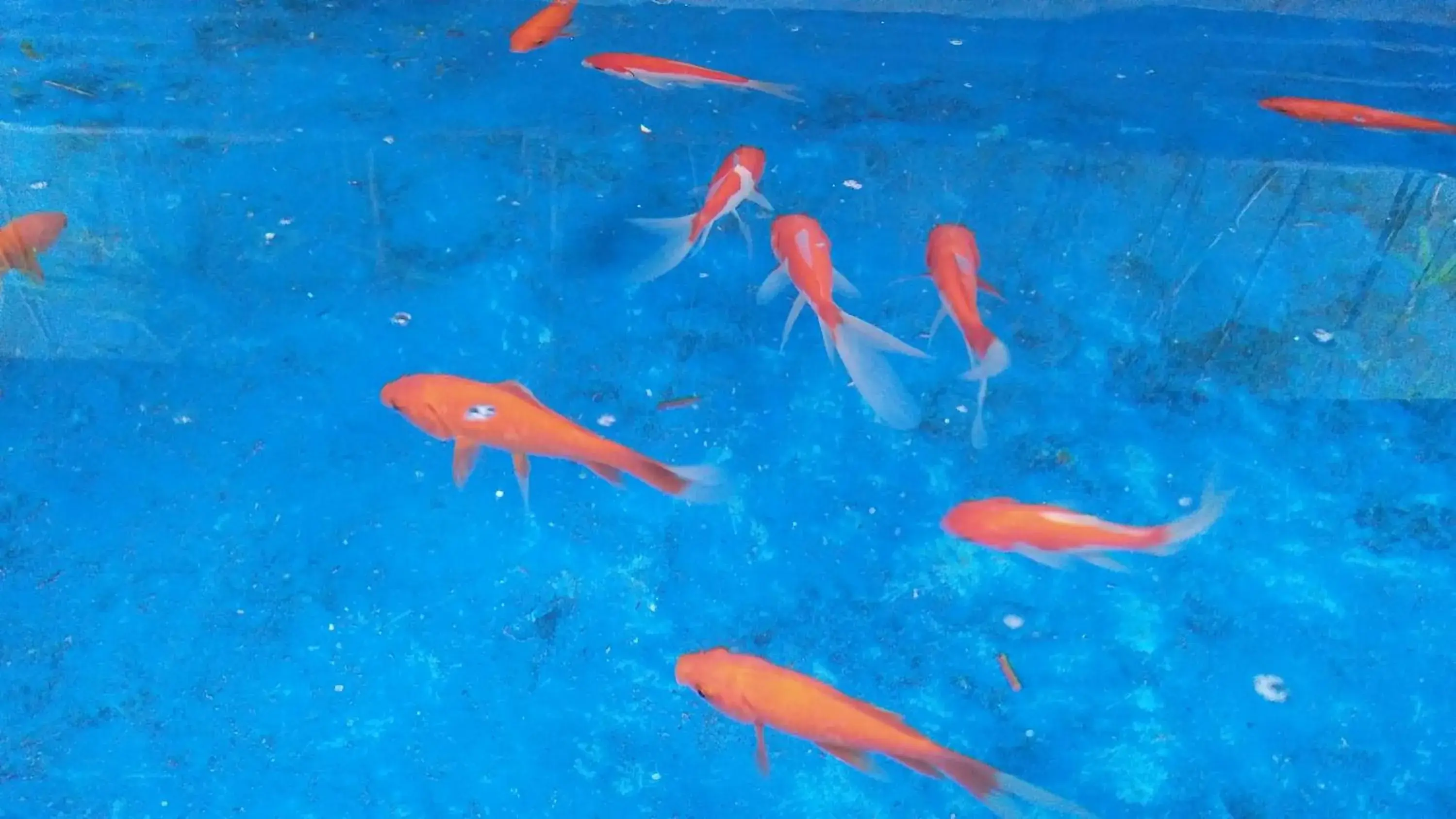 Property building in Ngampilan Backpacker Hostel Property building in Ngampilan Backpacker Hostel