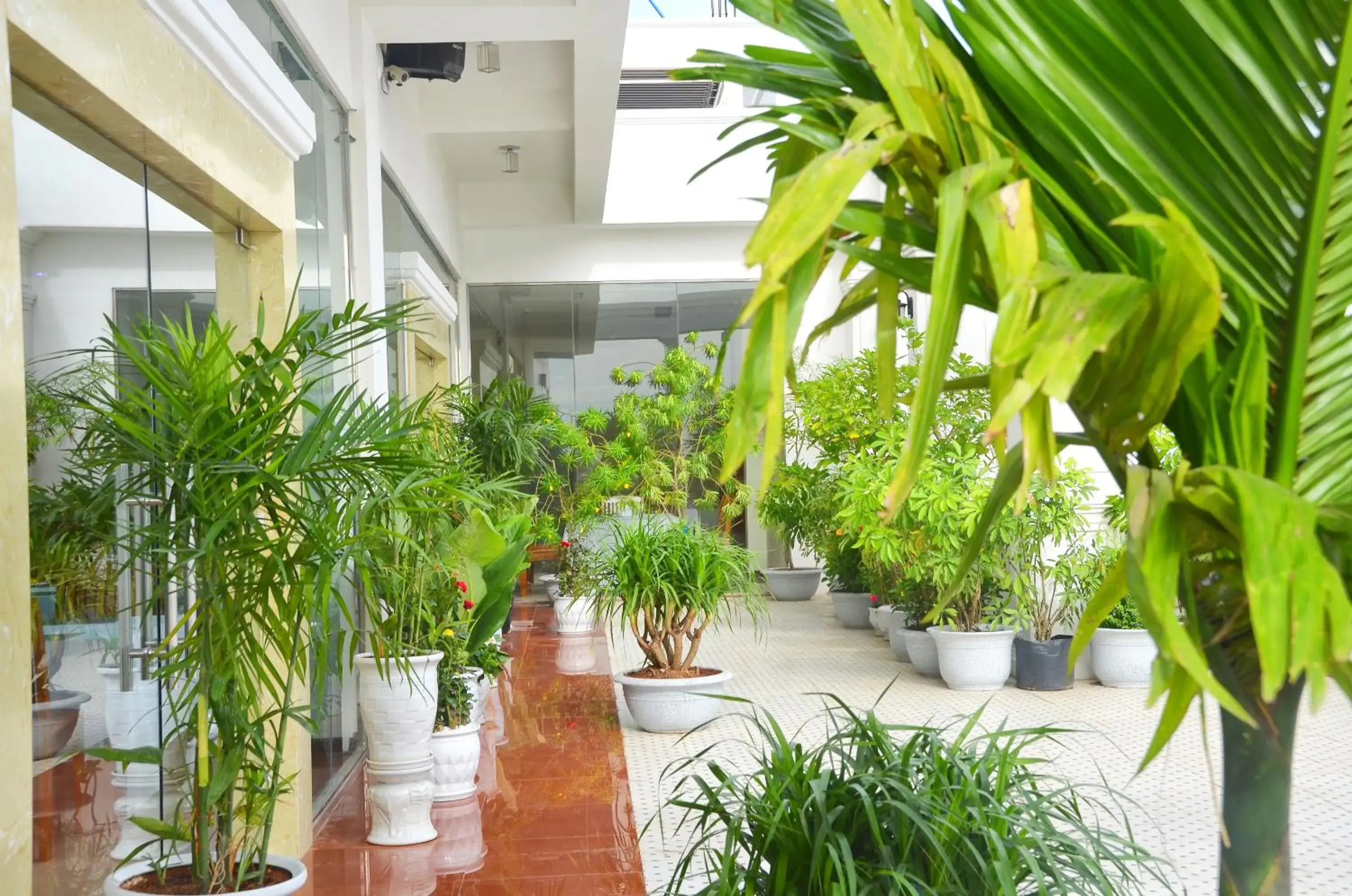 Restaurant/places to eat in Centre Hotel Restaurant/places to eat in Centre Hotel