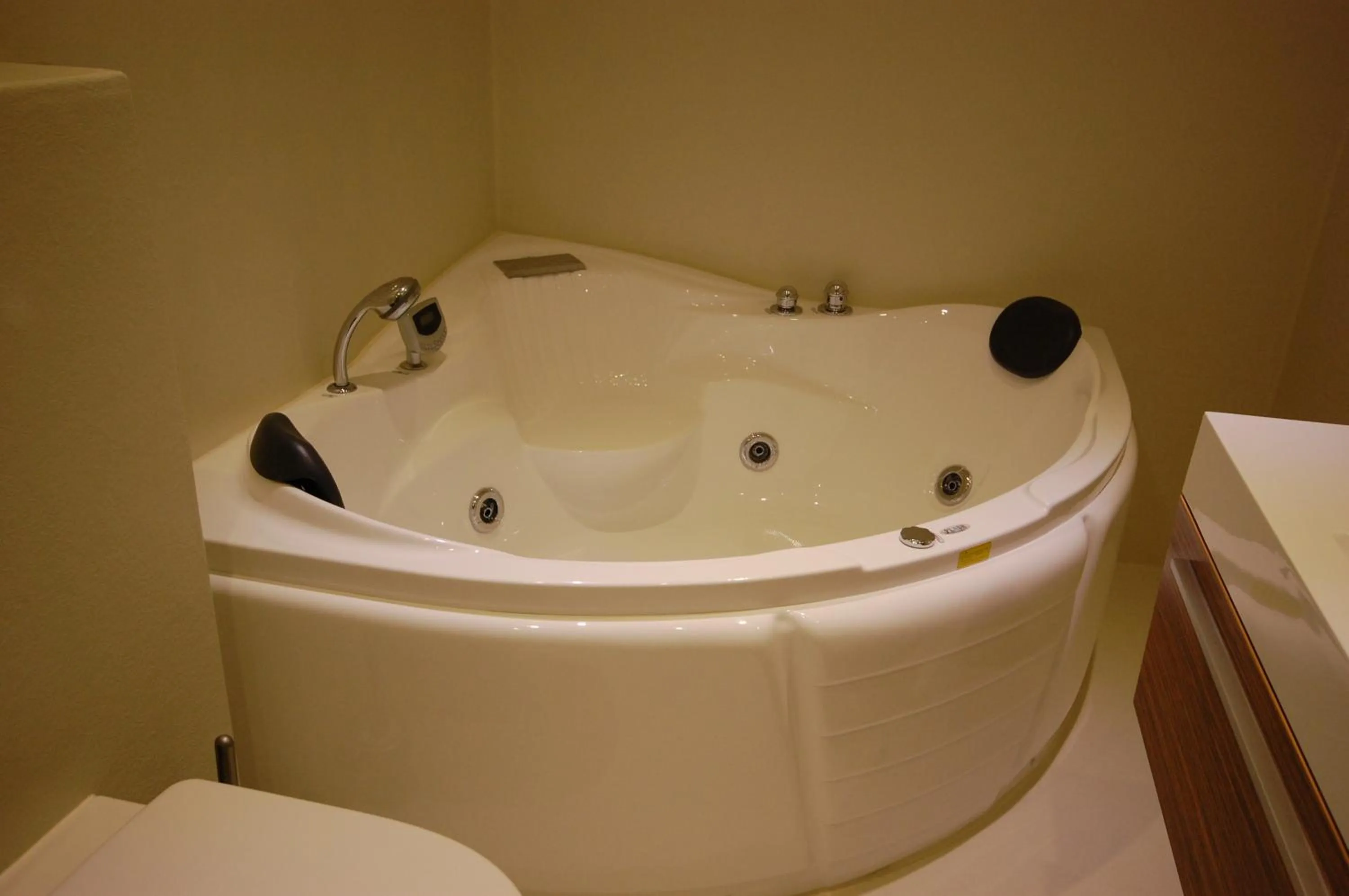 Hot Tub in Logement Bij Hen op Ameland