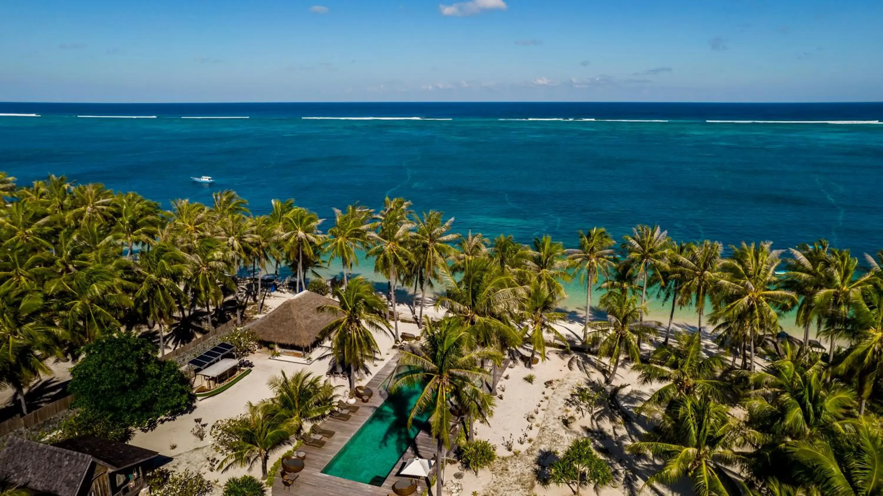 Seed Resort Seed Resort