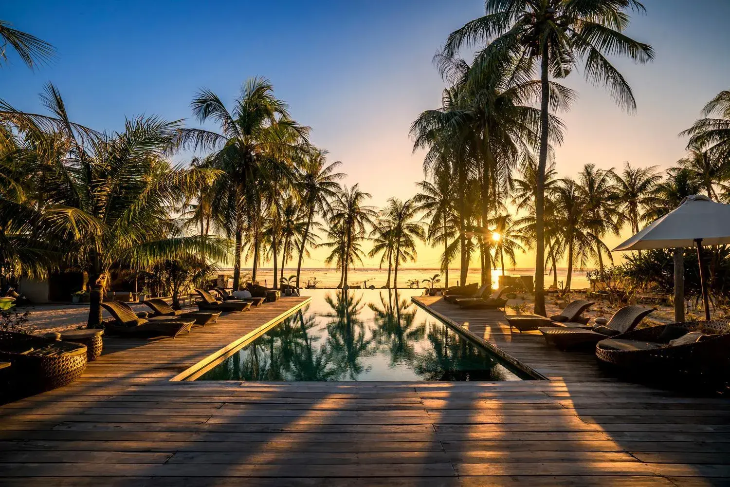 Seed Resort Seed Resort