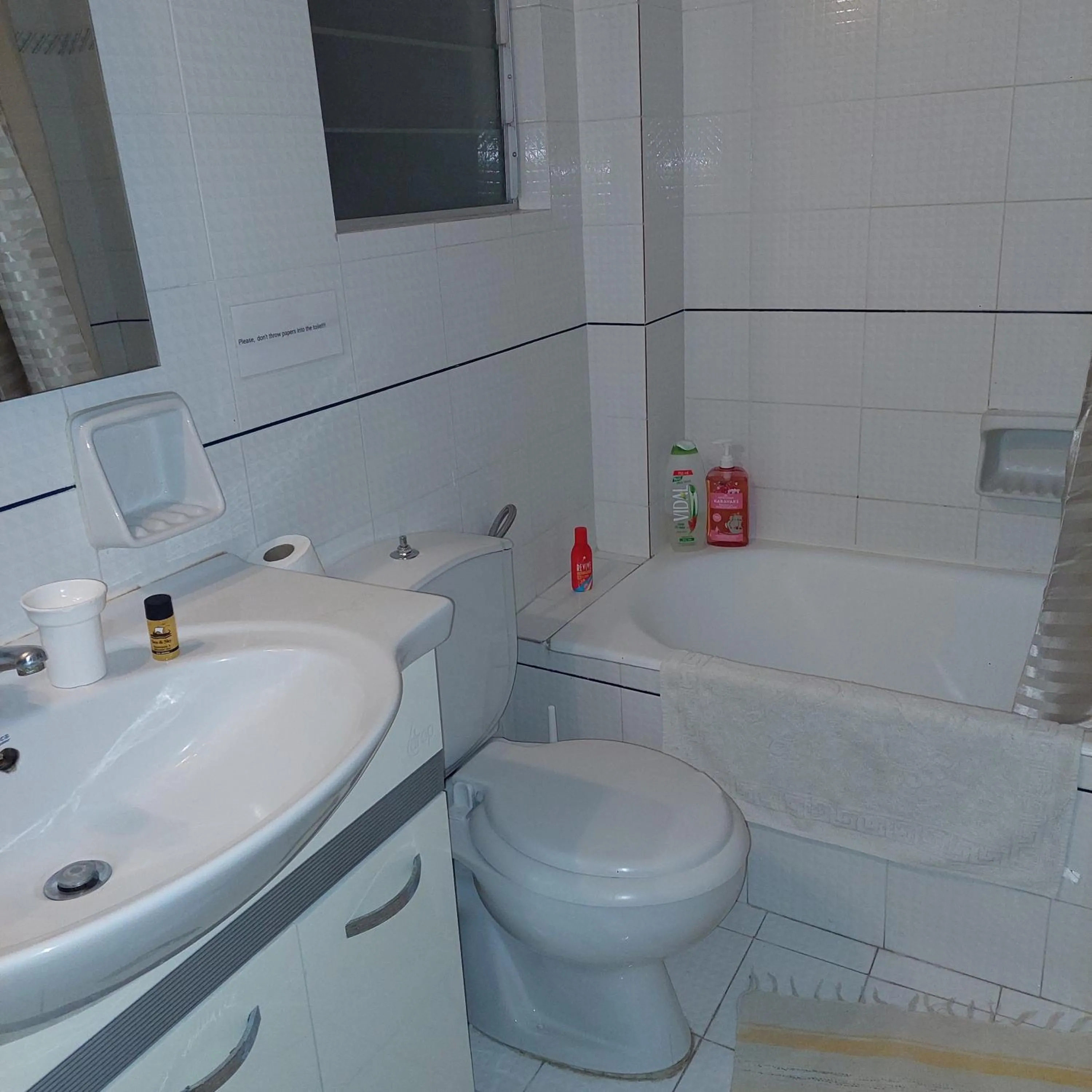 Toilet in Family Apartment
