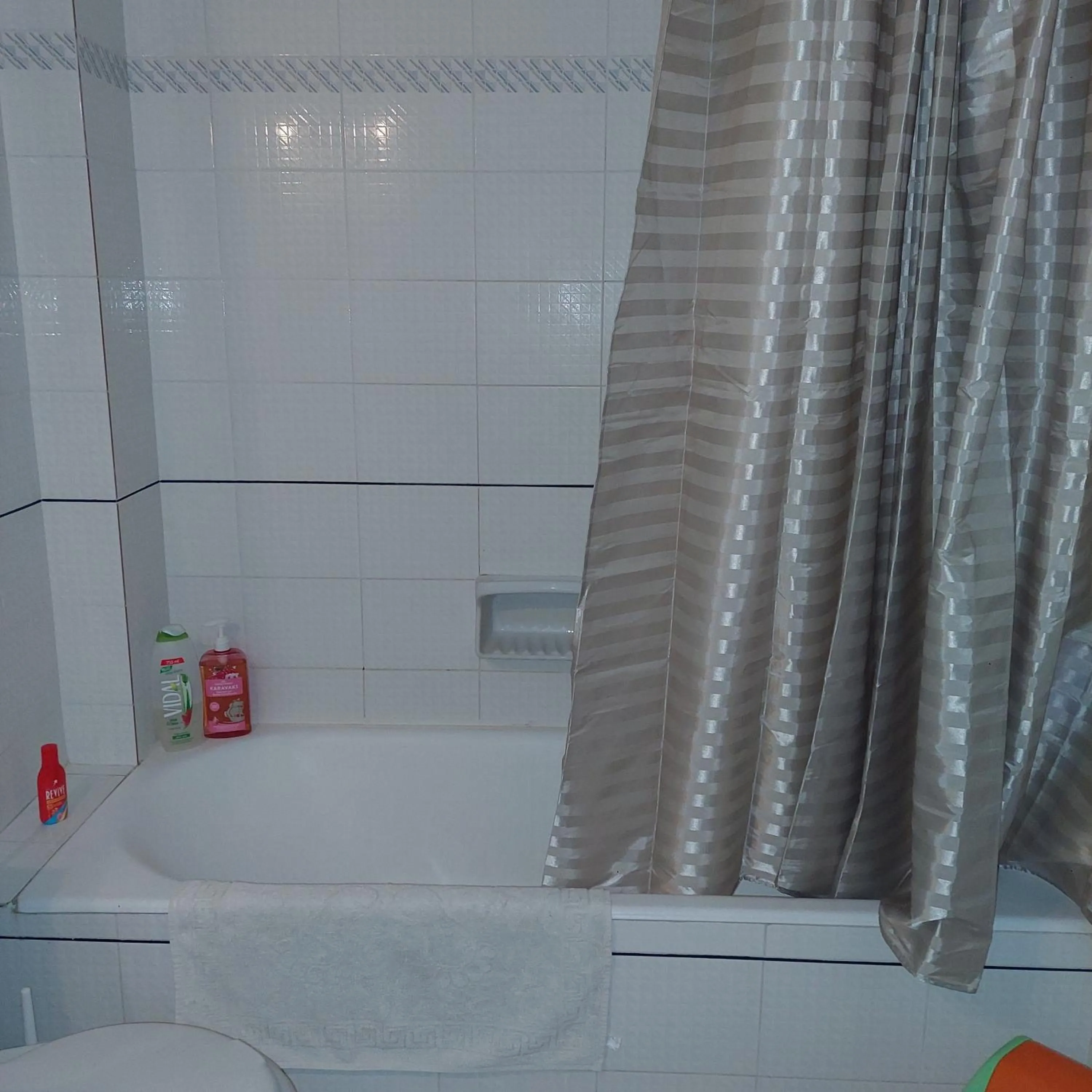 Bathroom in Family Apartment