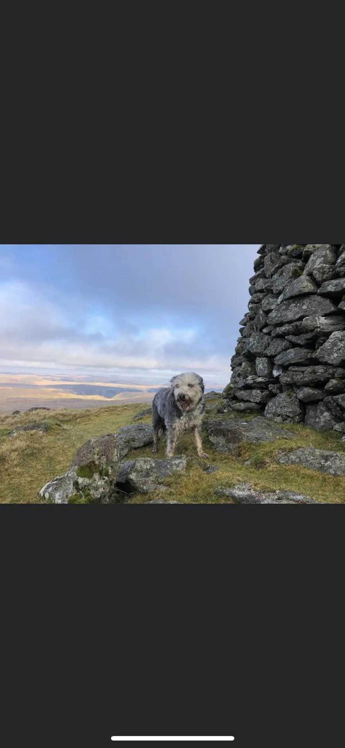 Bronfelin & Troed-y-Rhiw Holiday Cottage