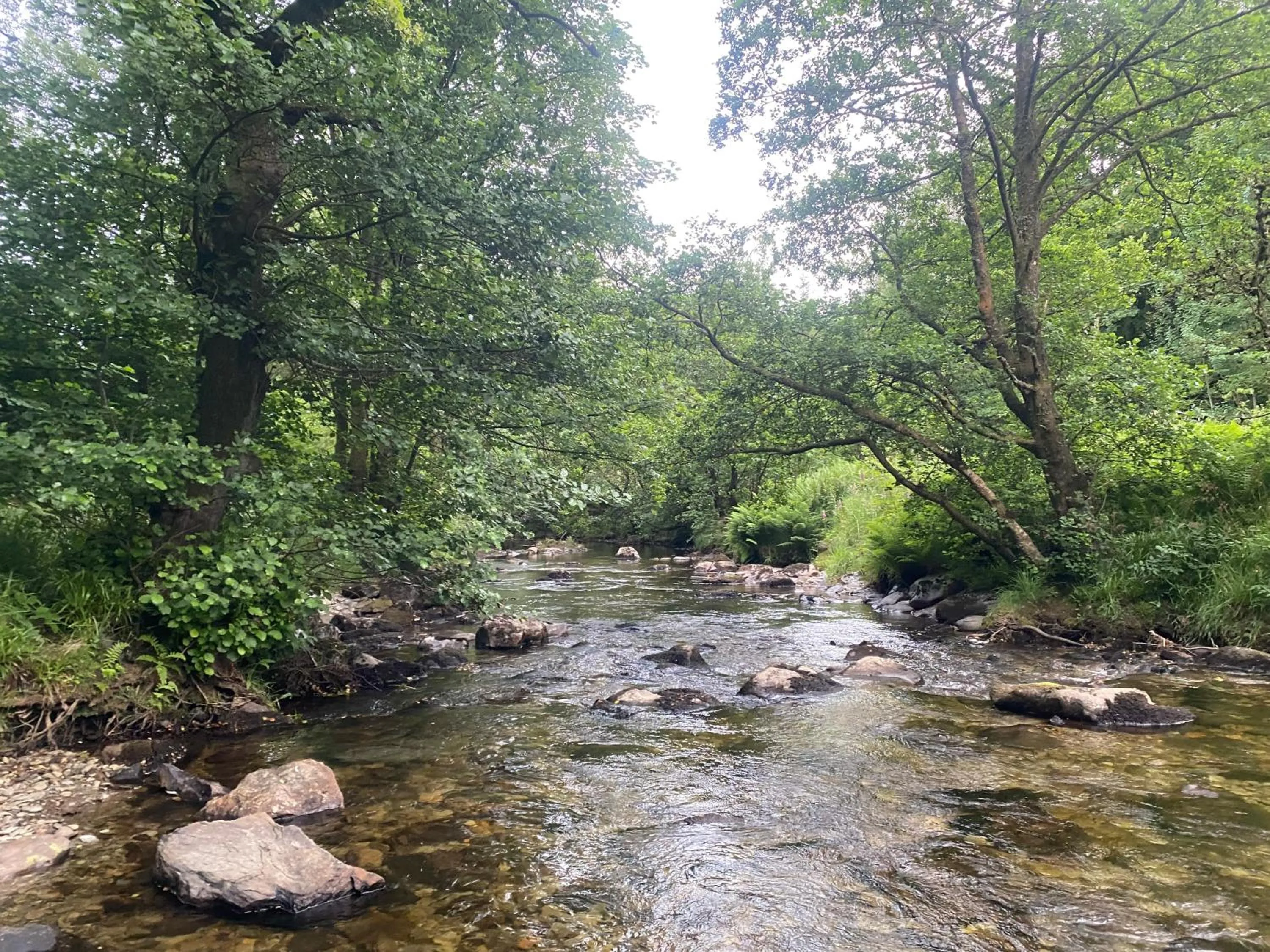 Bronfelin & Troed-y-Rhiw Holiday Cottage