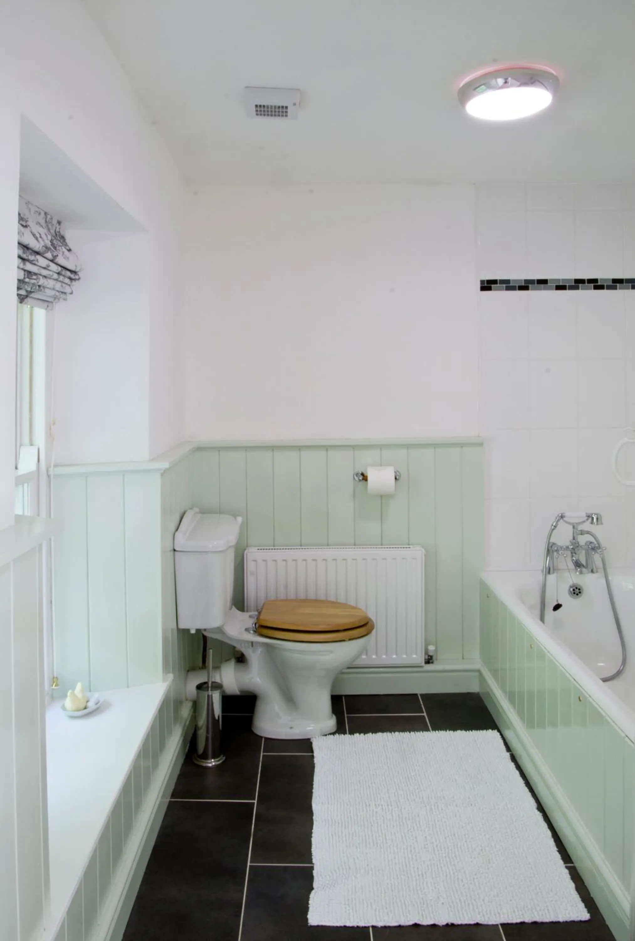 Shower in Bronfelin & Troed-y-Rhiw Holiday Cottage