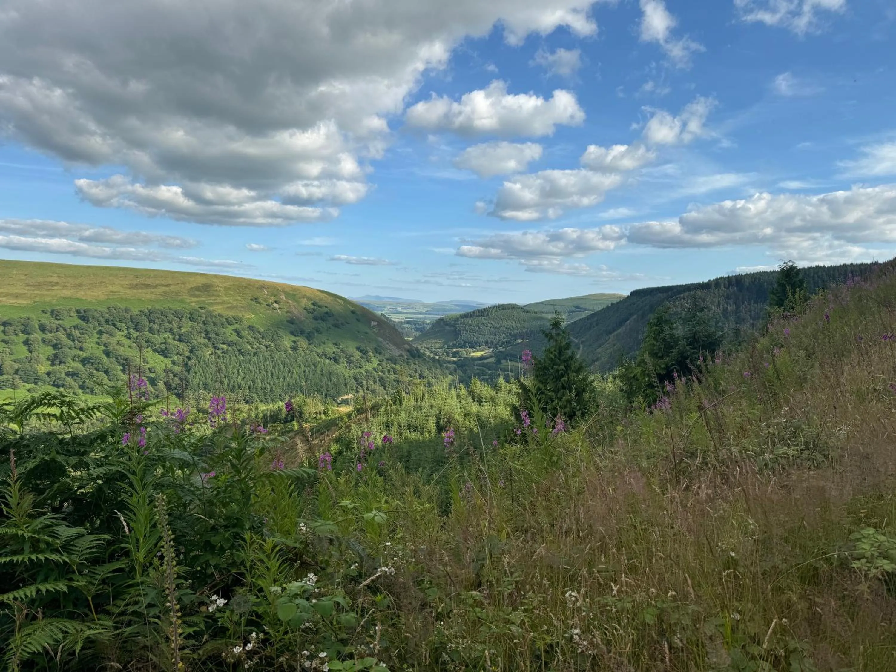 Bronfelin & Troed-y-Rhiw Holiday Cottage