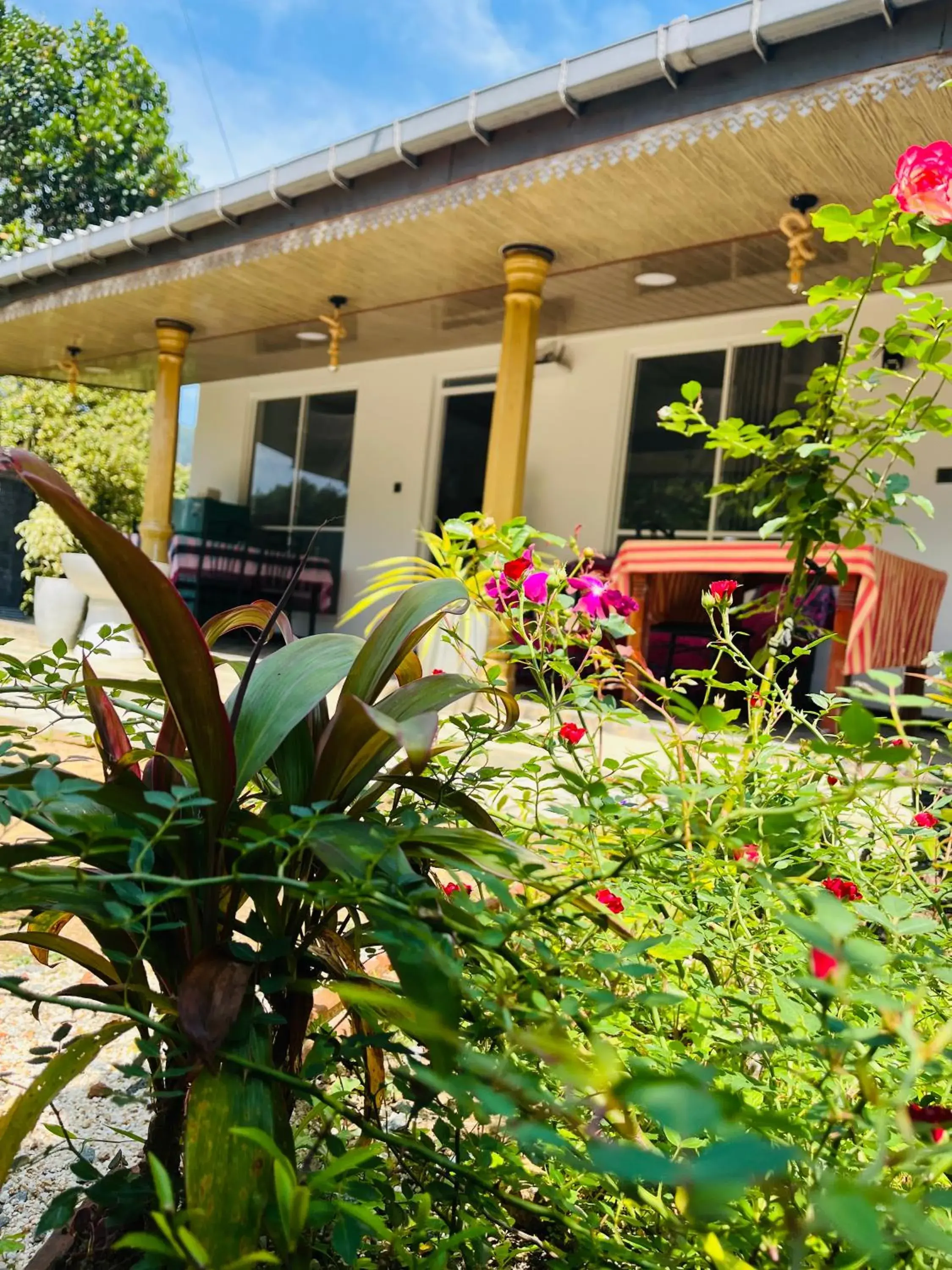 Cinnamon Homestay ella Cinnamon Homestay ella