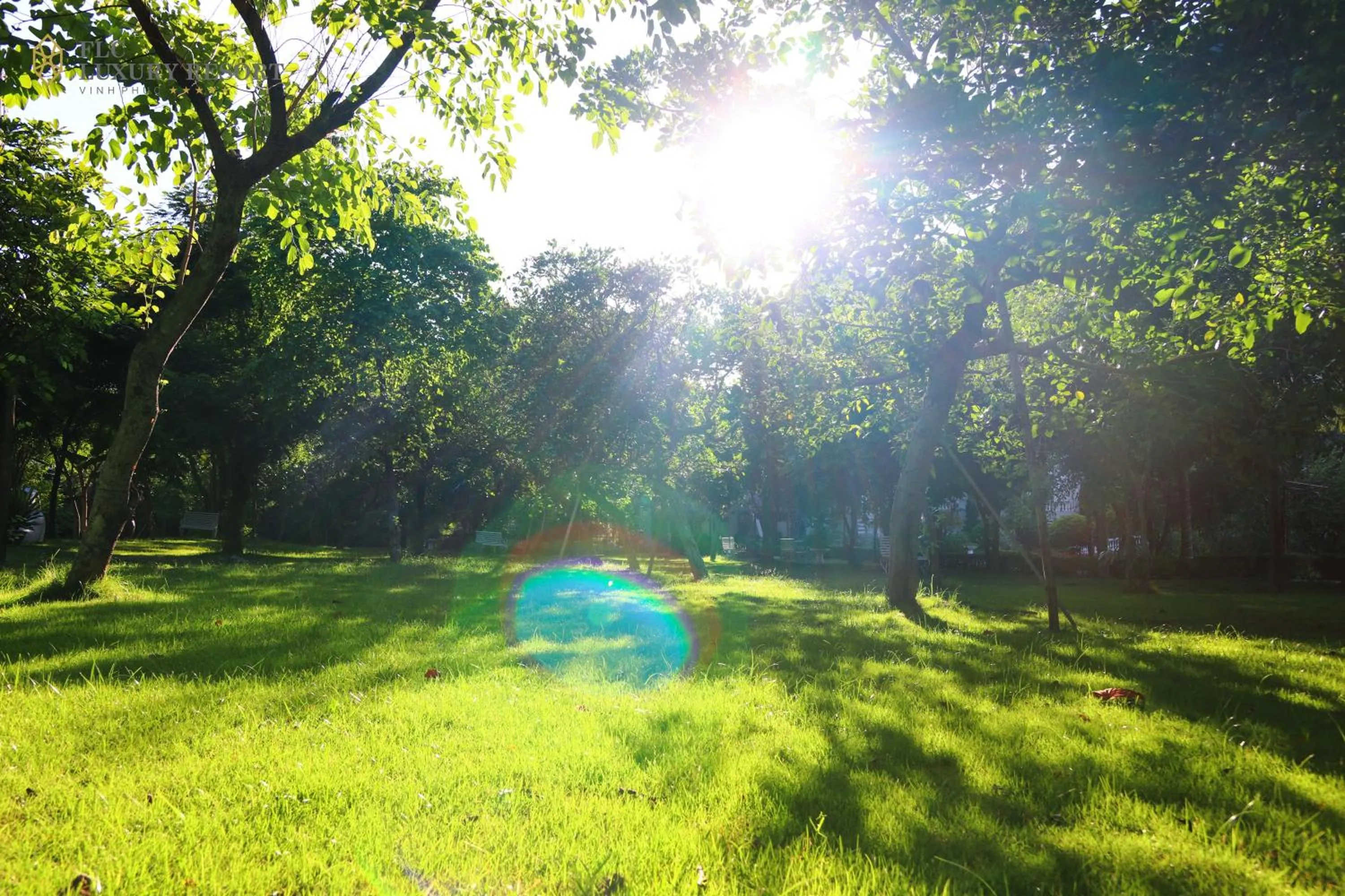 Off site in FLC Luxury Resort Vinh Phuc