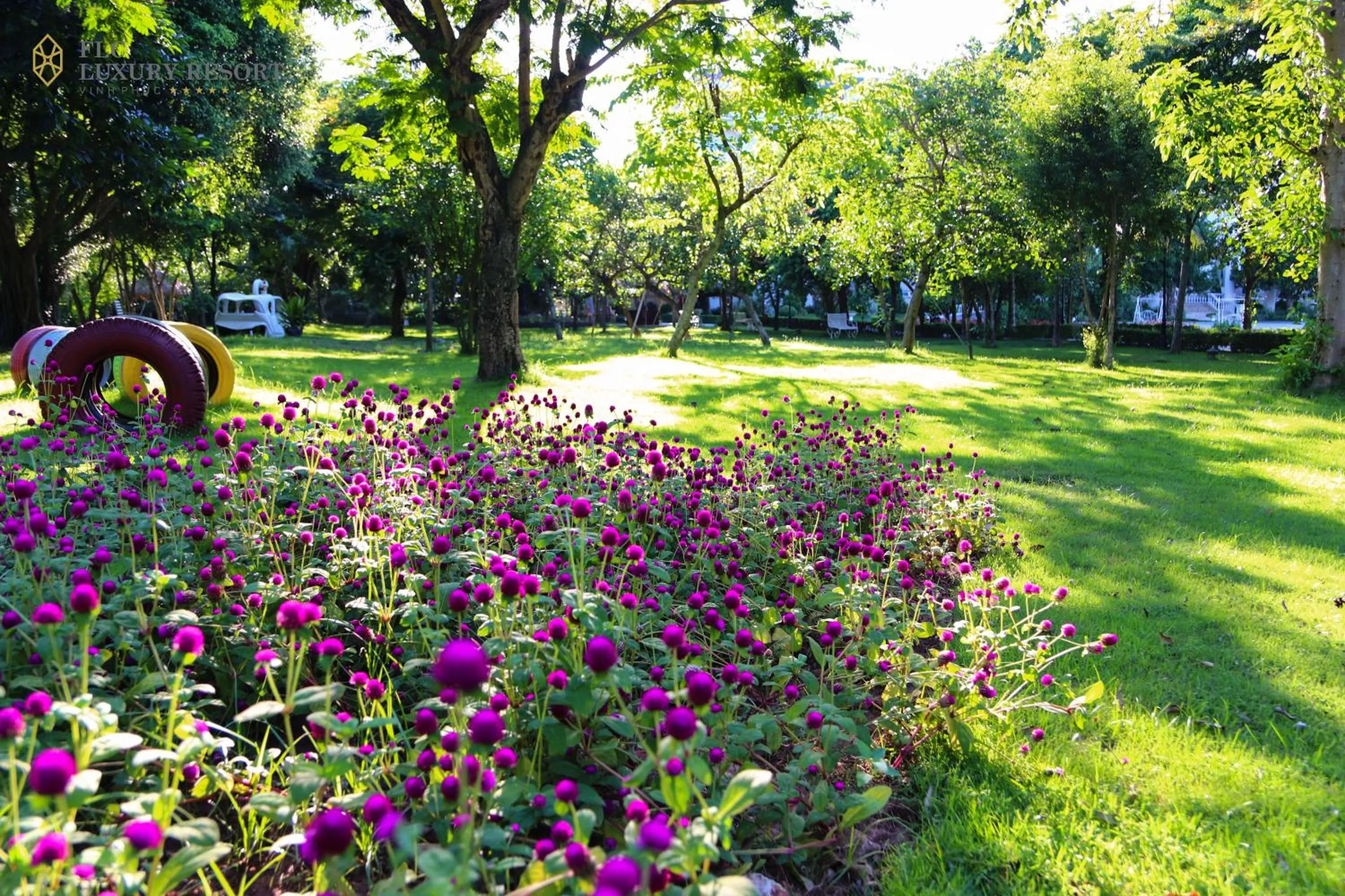 Natural landscape in FLC Luxury Resort Vinh Phuc