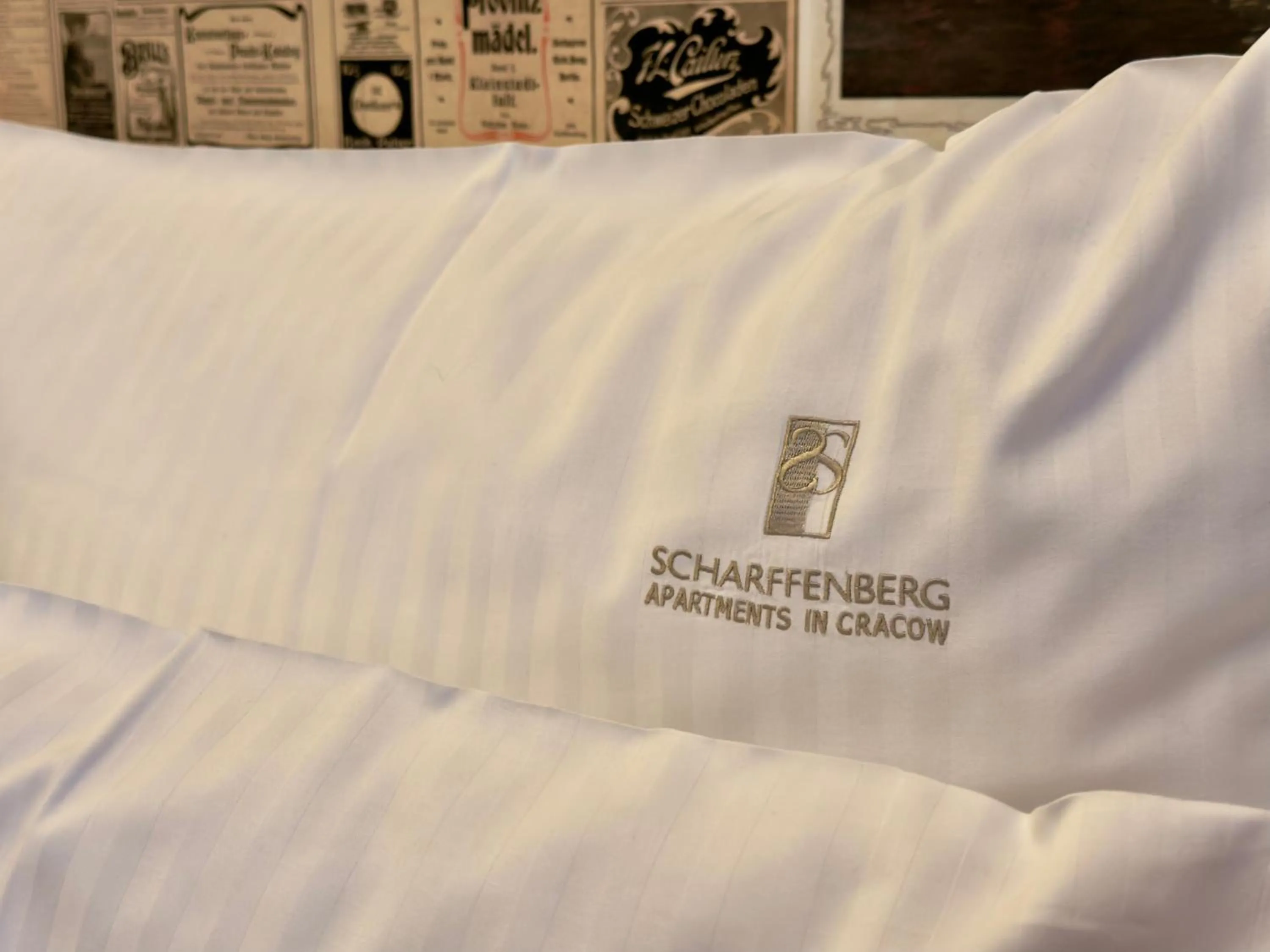 Bed in Scharffenberg Apartments Main Square